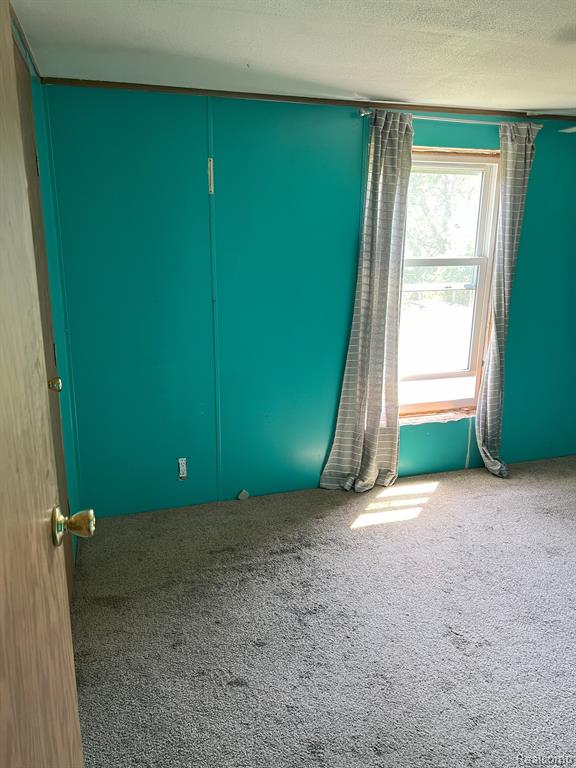 12075 Peet Road Chesaning, MI 48616 - Photo 9 of 17