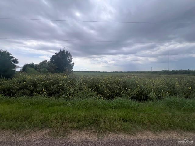 33632 Cobarrubias Road San Benito, TX 78586 - Photo 7 of 8 View of undeveloped land featuring rural landscape