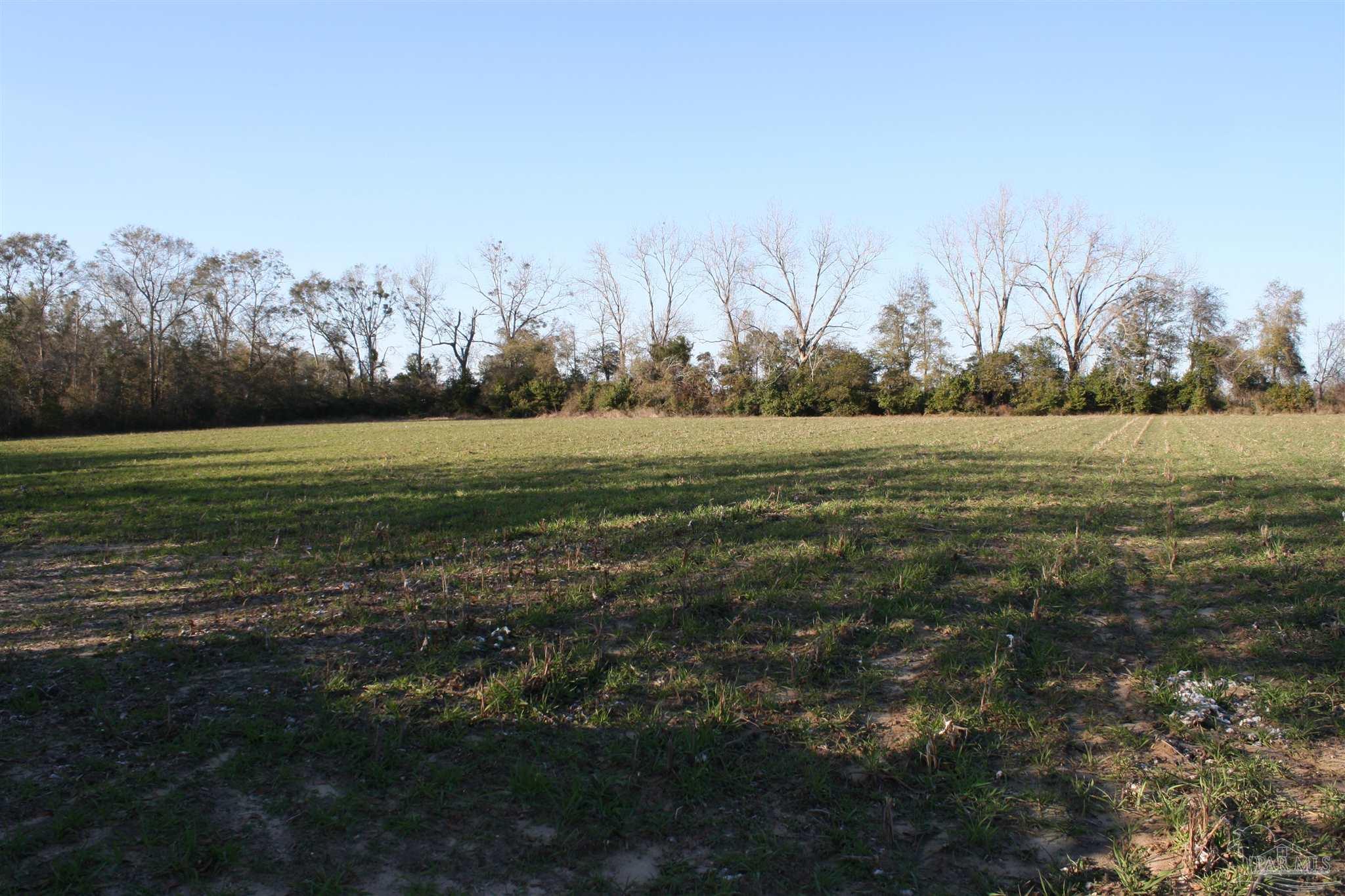 0 D E Lovett Road Milton, FL 32570 - Photo 12 of 19