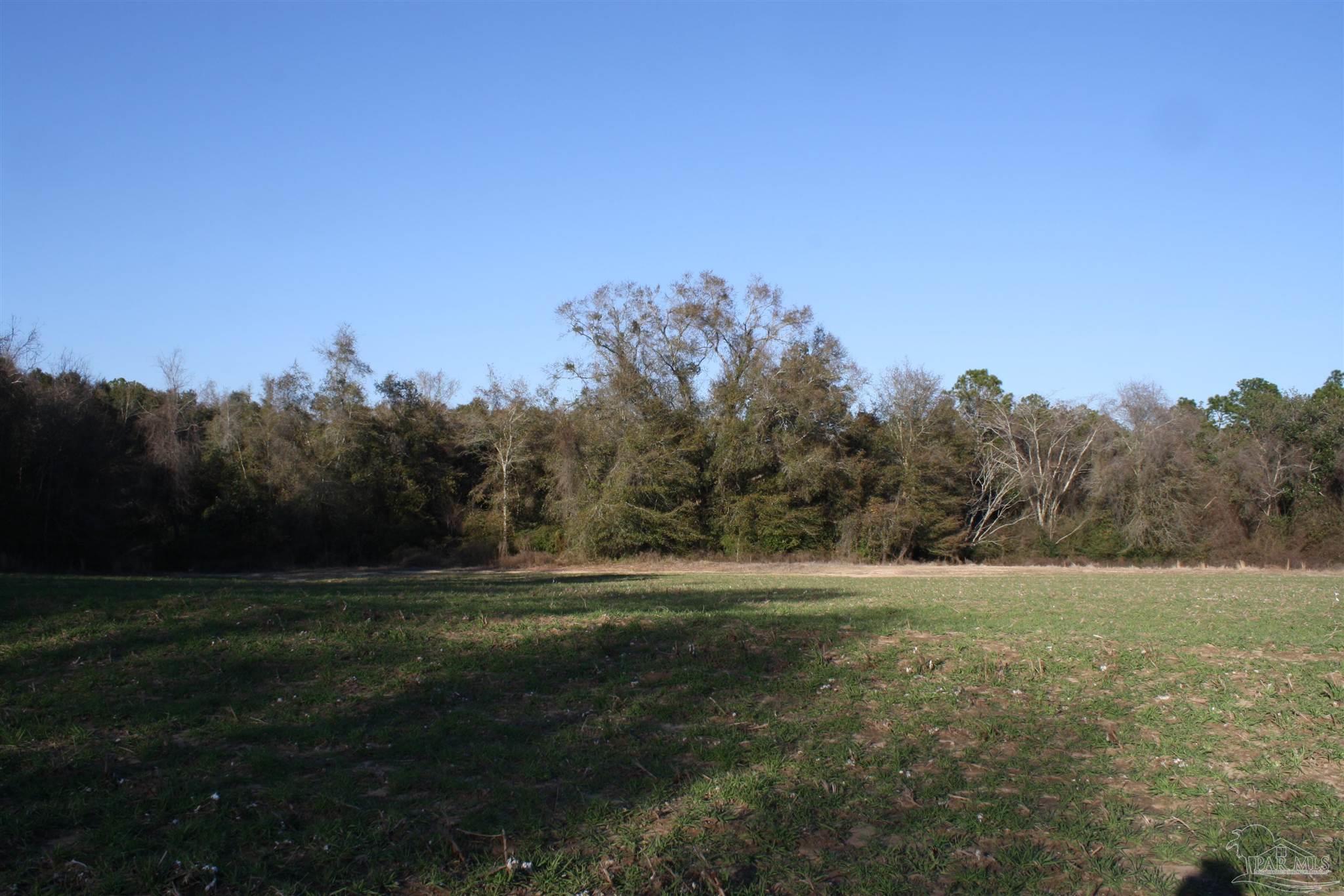 0 D E Lovett Road Milton, FL 32570 - Photo 13 of 19