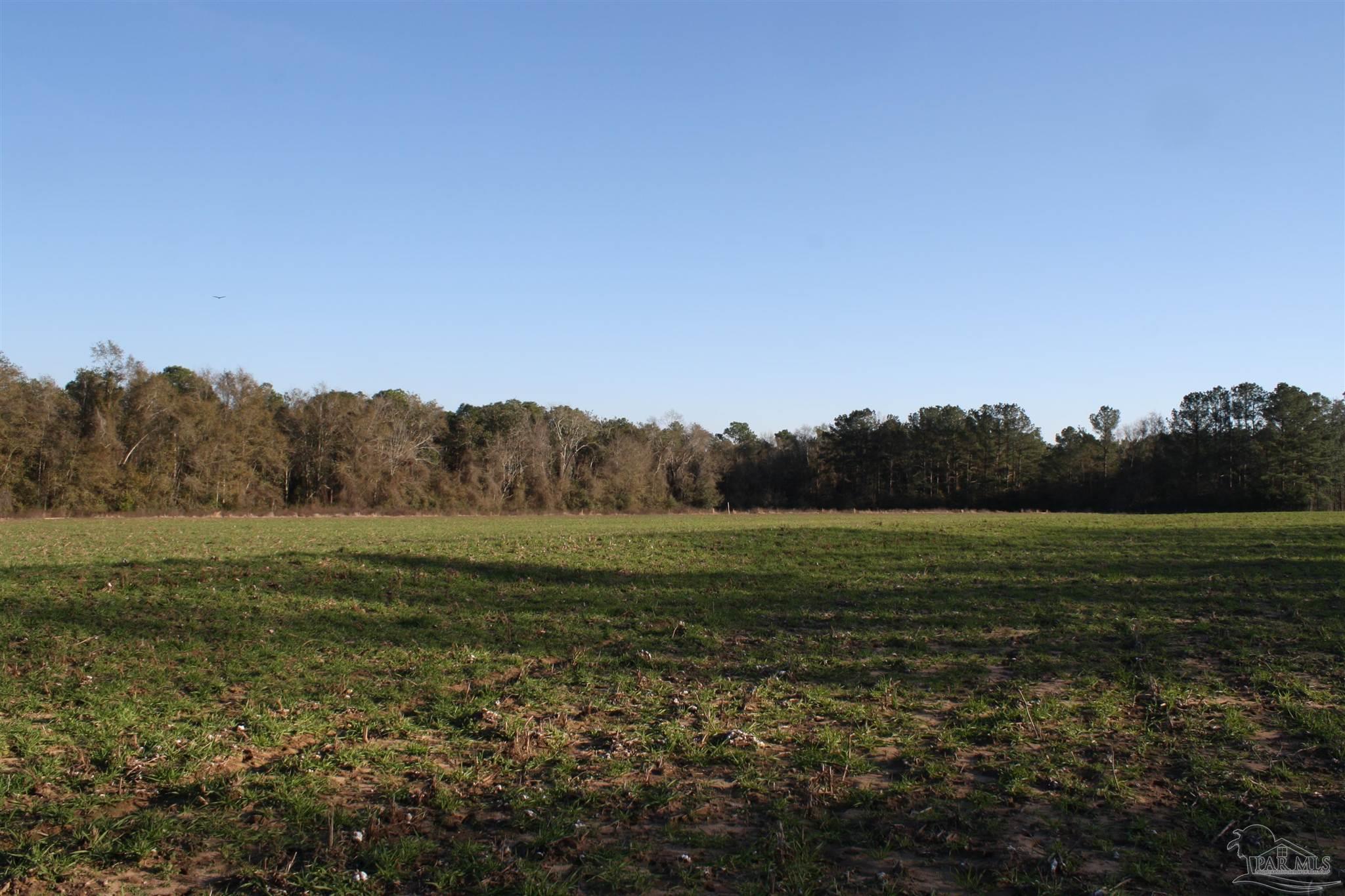 0 D E Lovett Road Milton, FL 32570 - Photo 14 of 19