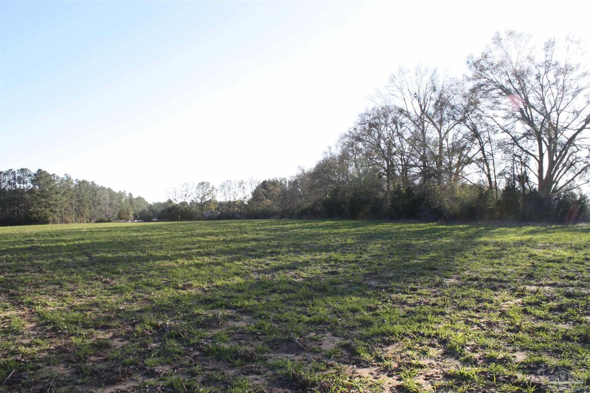 0 D E Lovett Road Milton, FL 32570 - Photo 15 of 19