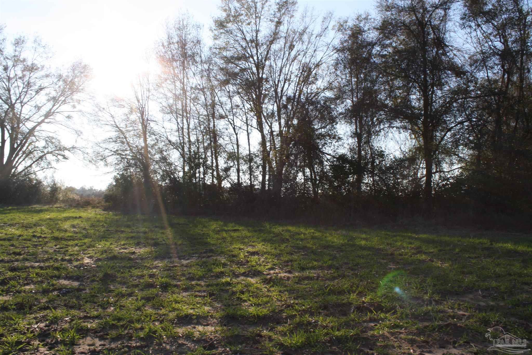 0 D E Lovett Road Milton, FL 32570 - Photo 16 of 19