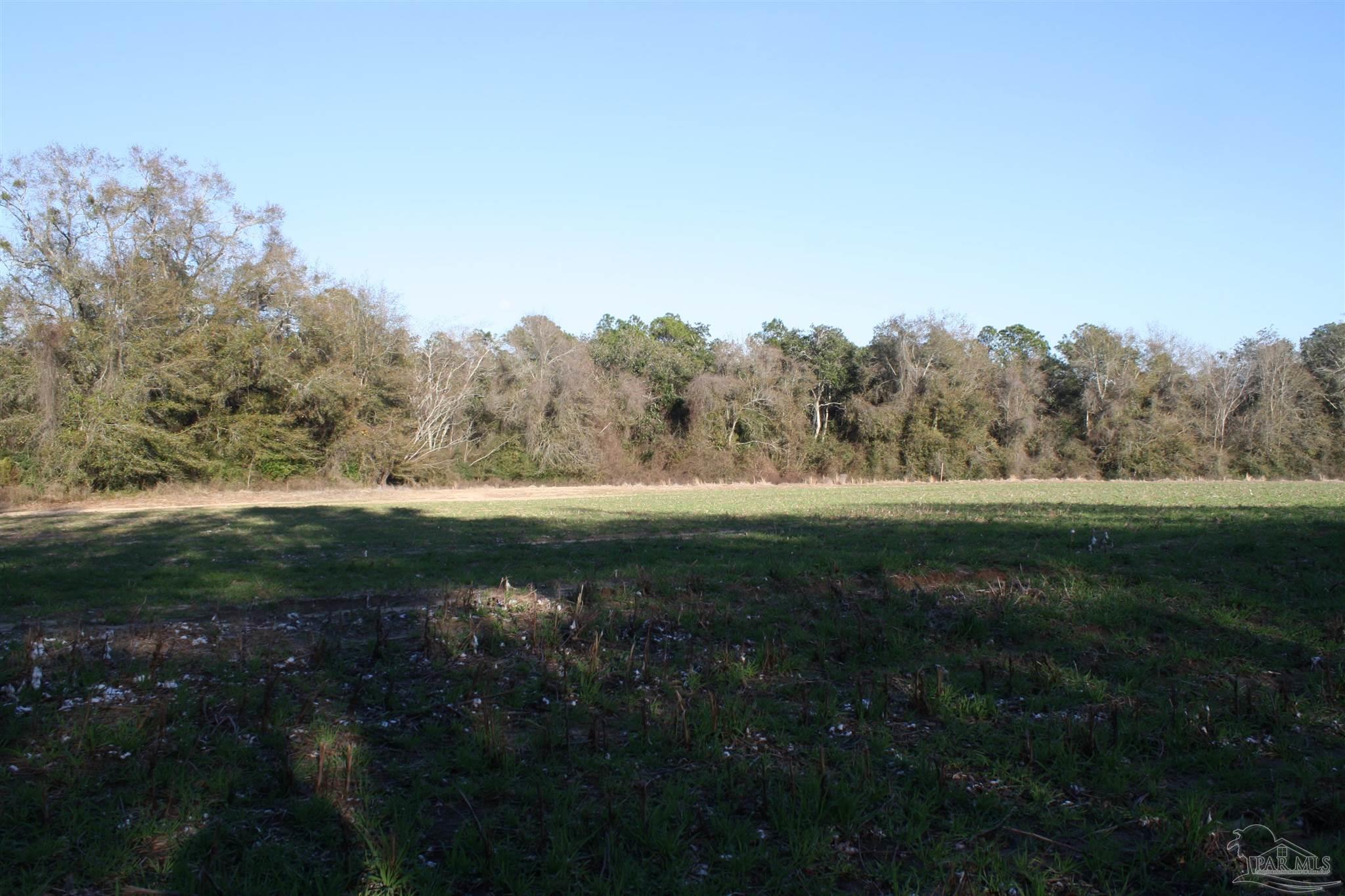 0 D E Lovett Road Milton, FL 32570 - Photo 17 of 19