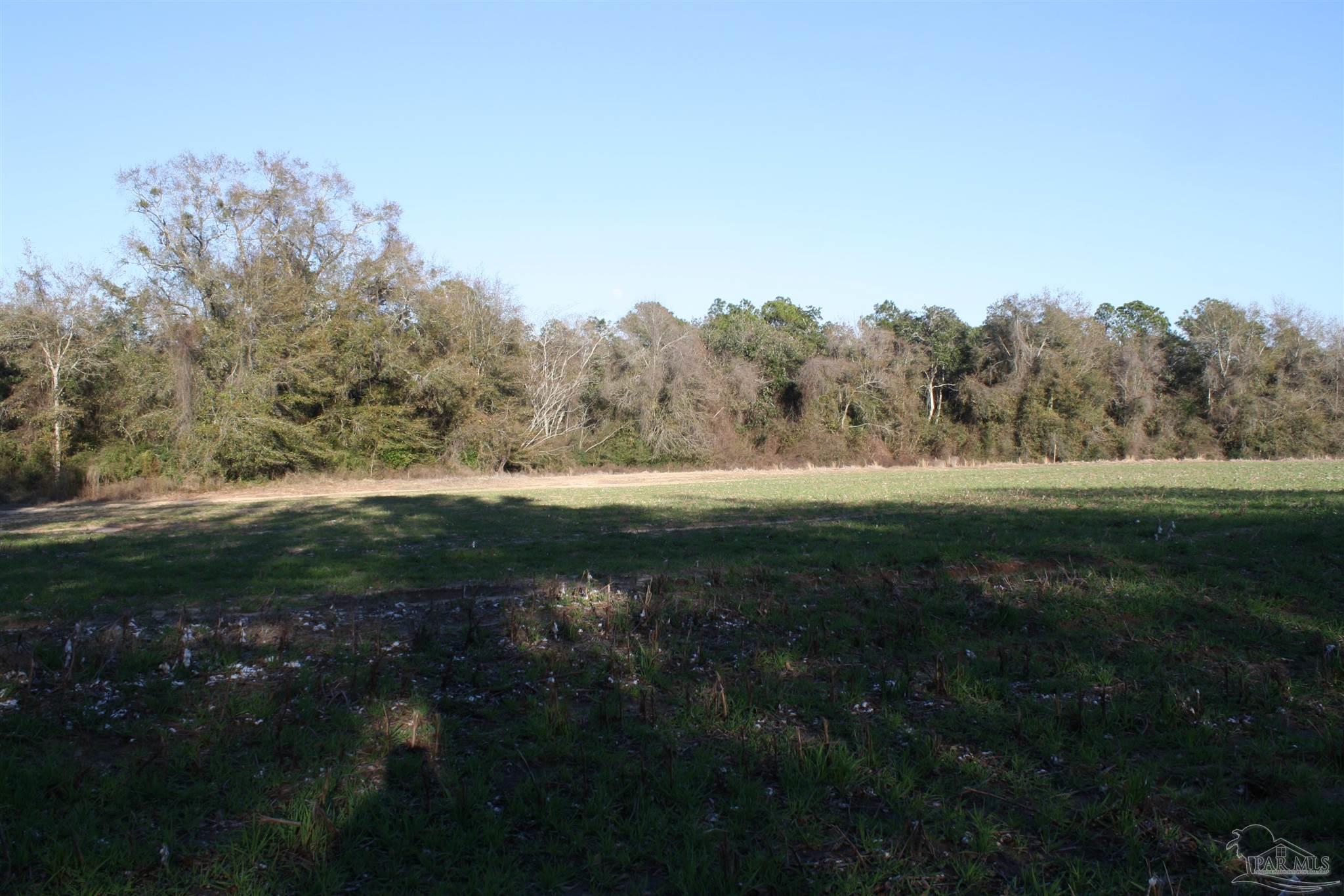 0 D E Lovett Road Milton, FL 32570 - Photo 18 of 19