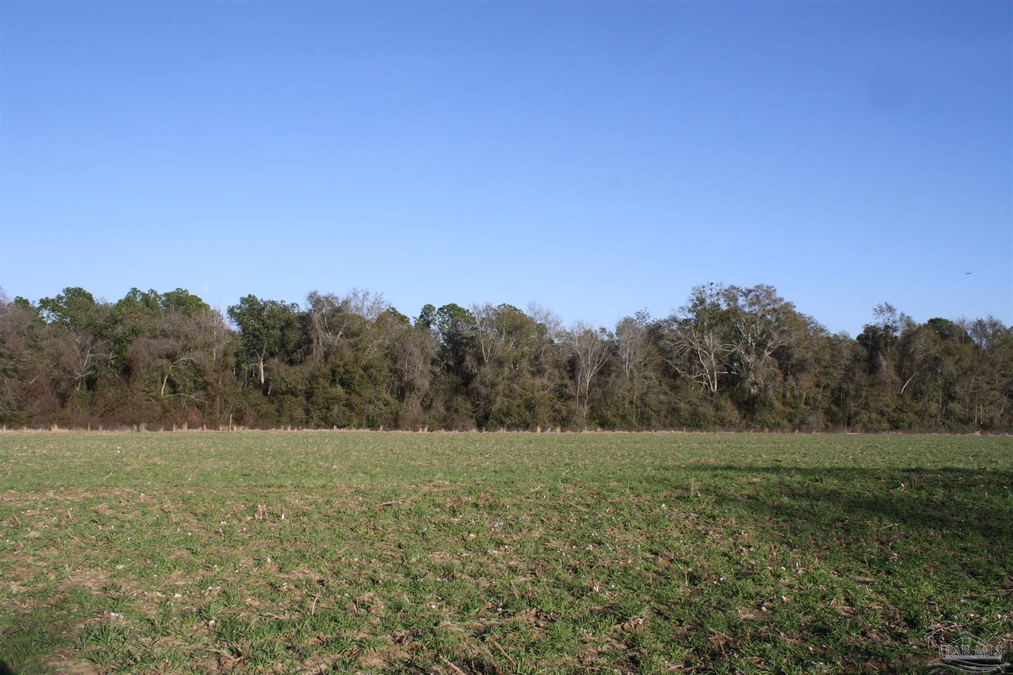 0 D E Lovett Road Milton, FL 32570 - Photo 19 of 19