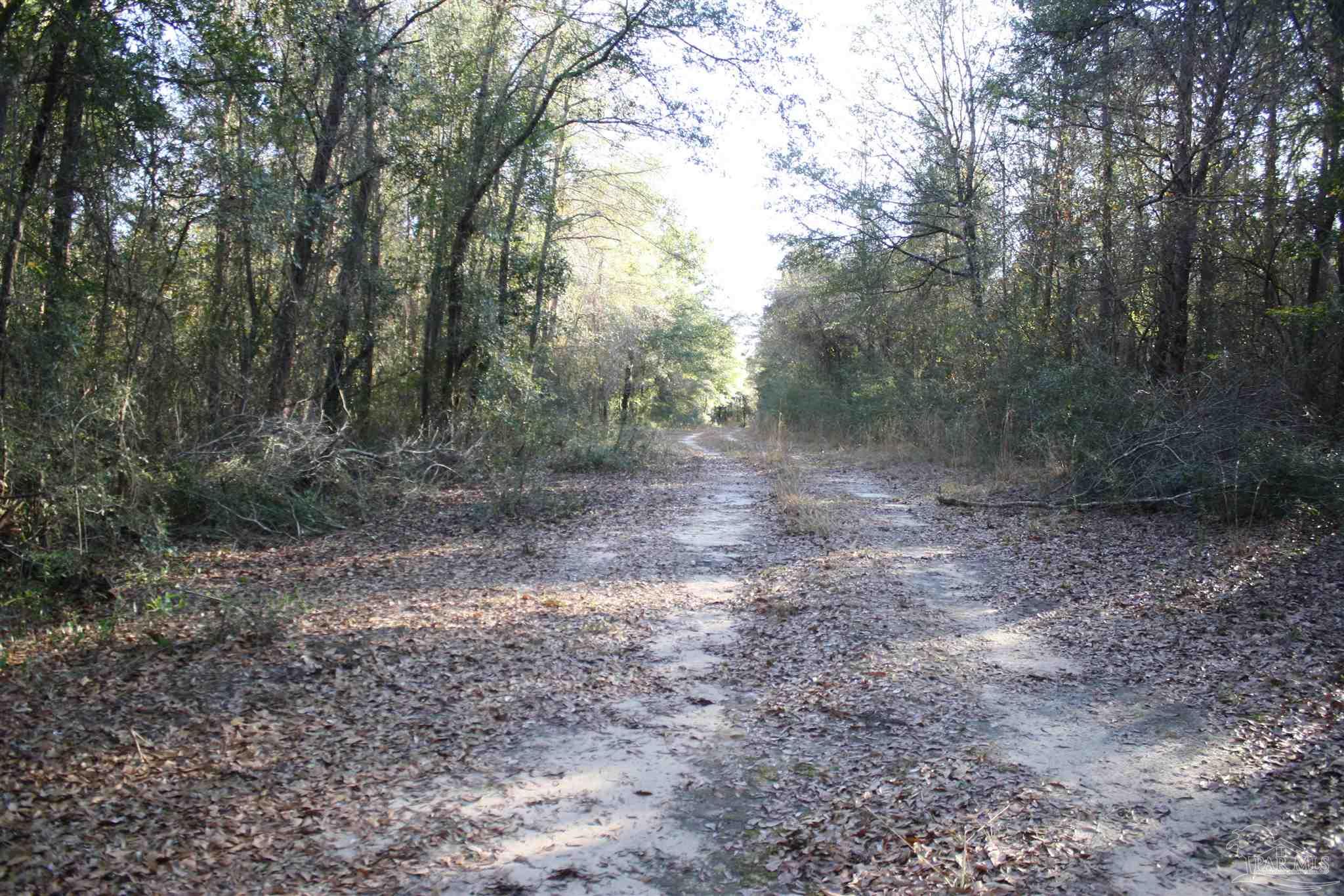 0 D E Lovett Road Milton, FL 32570 - Photo 4 of 19