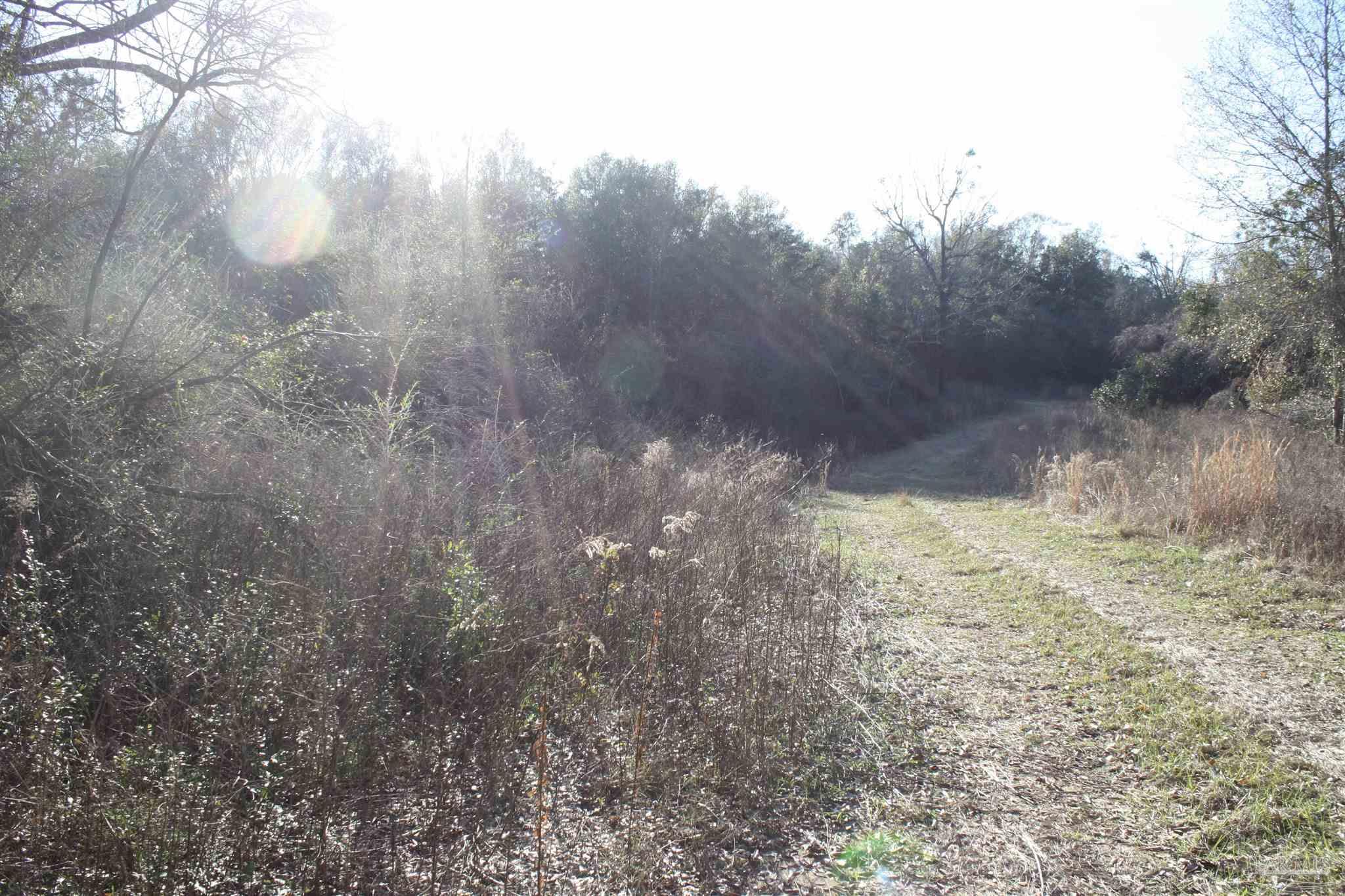 0 D E Lovett Road Milton, FL 32570 - Photo 6 of 19