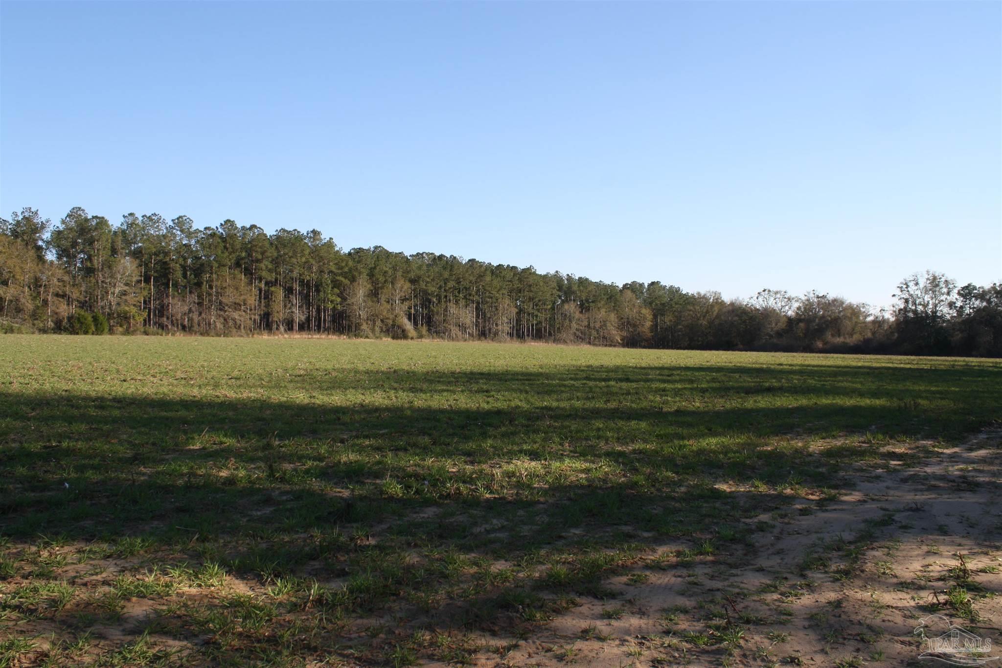 0 D E Lovett Road Milton, FL 32570 - Photo 7 of 19