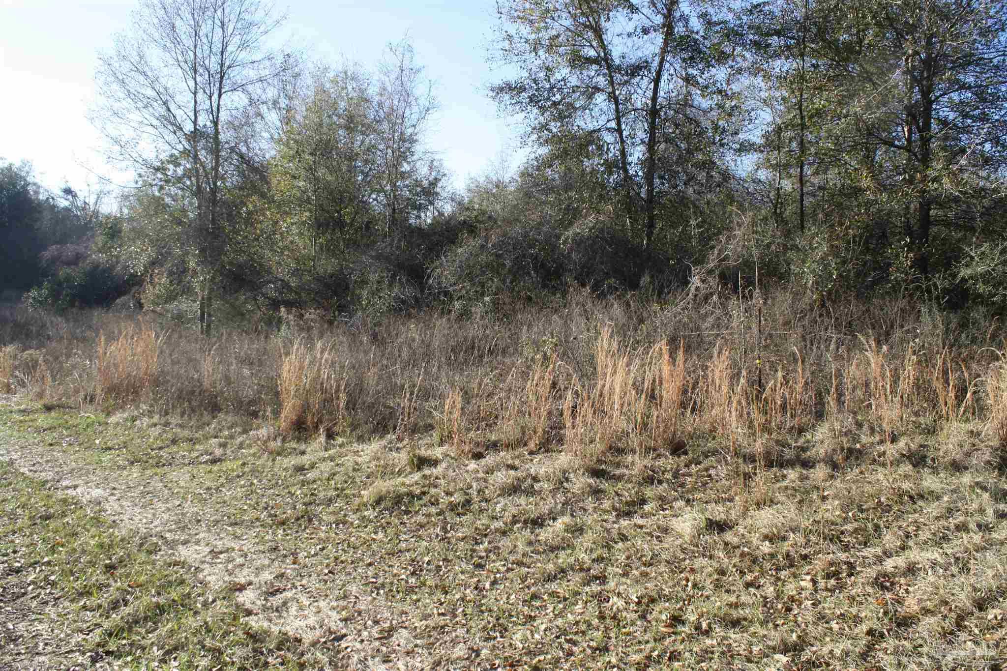 0 D E Lovett Road Milton, FL 32570 - Photo 8 of 19