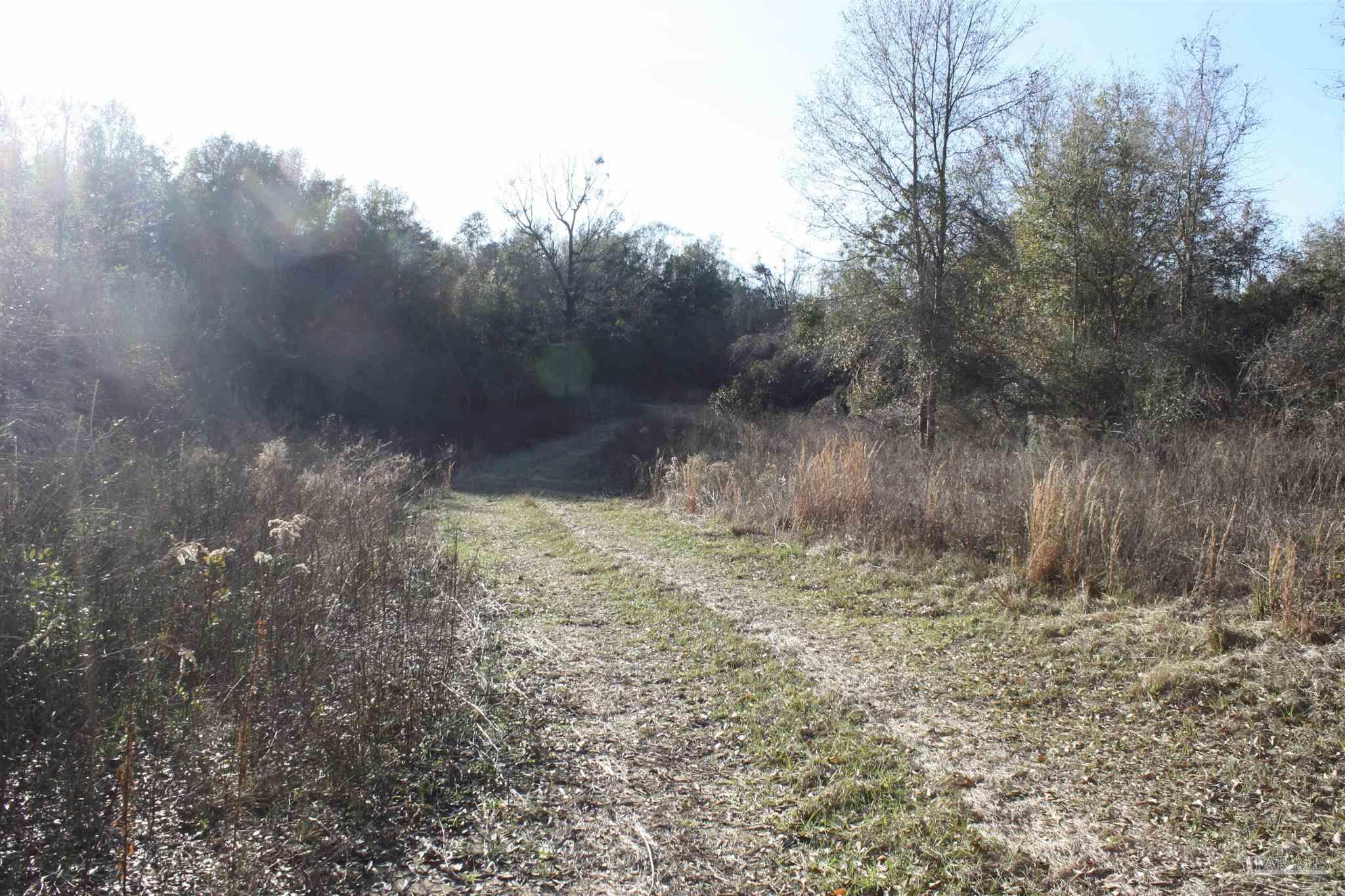 0 D E Lovett Road Milton, FL 32570 - Photo 9 of 19