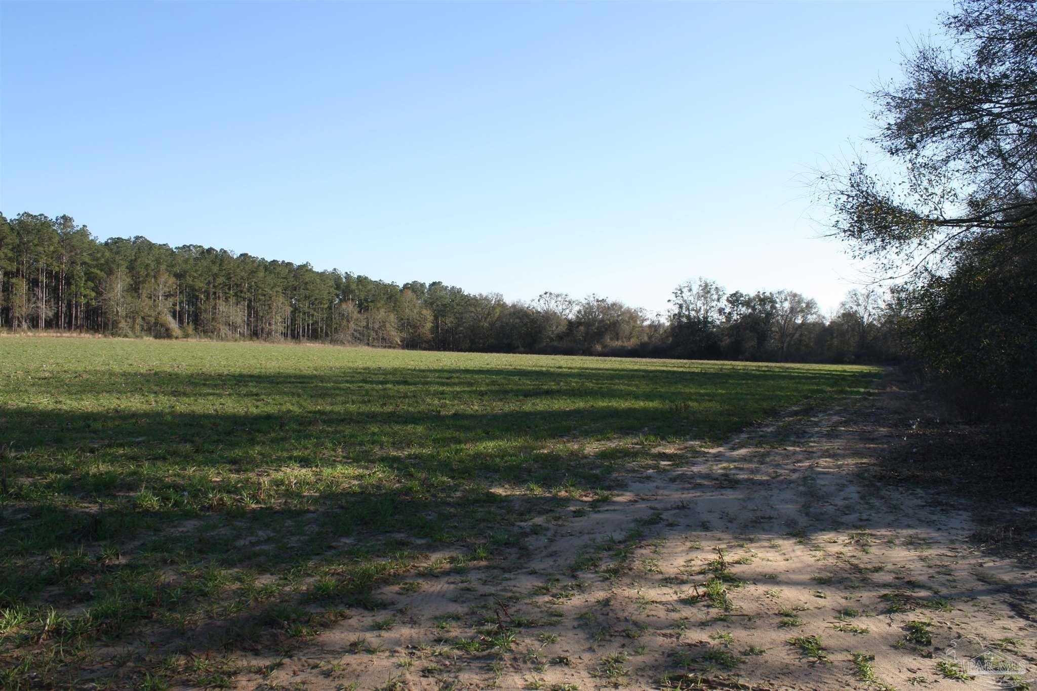 0 D E Lovett Road Milton, FL 32570 - Photo 10 of 19