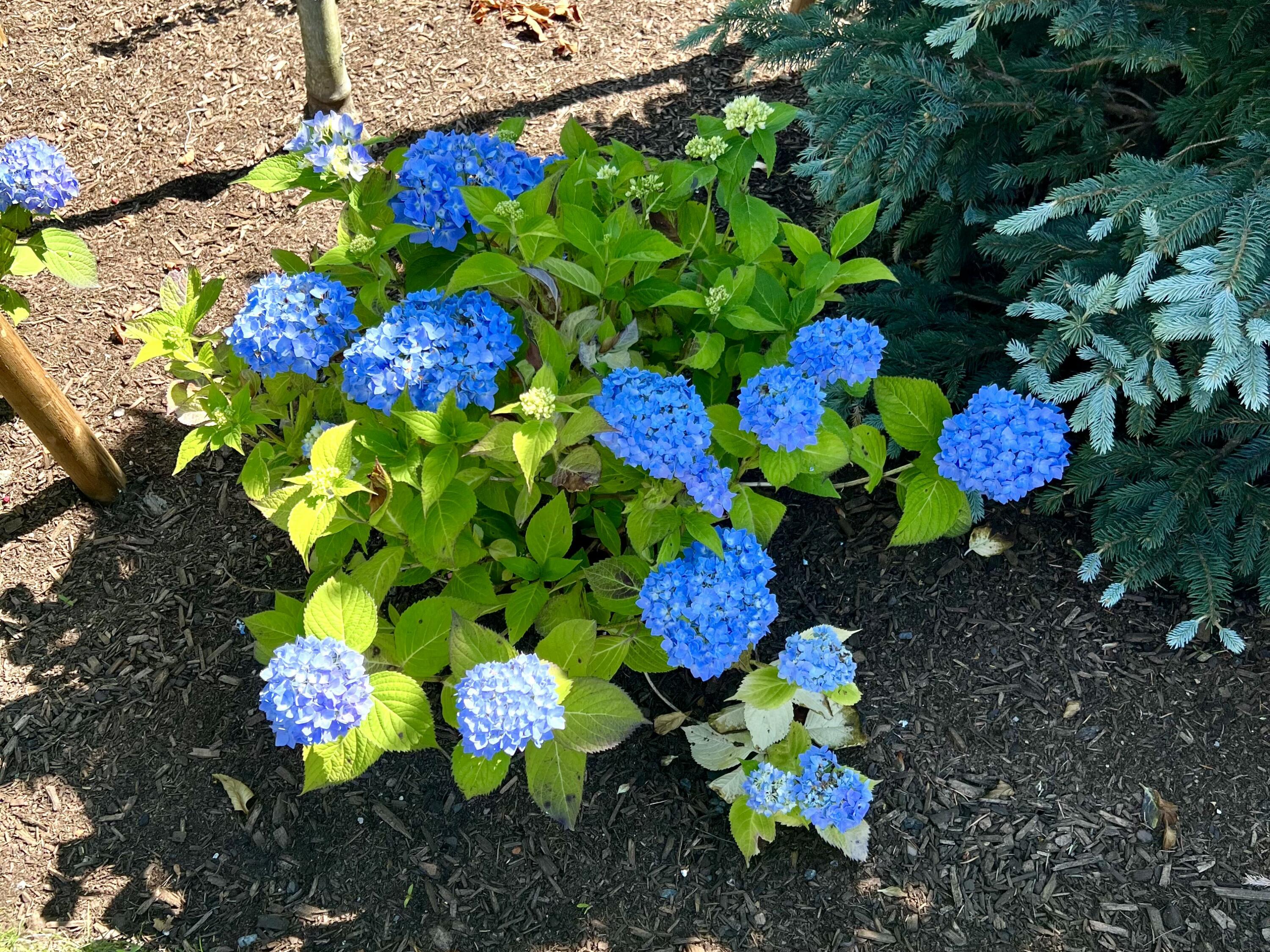 1 Vanessa Way Saco, ME 04072 - Photo 54 of 61 1 Vanessa Lane