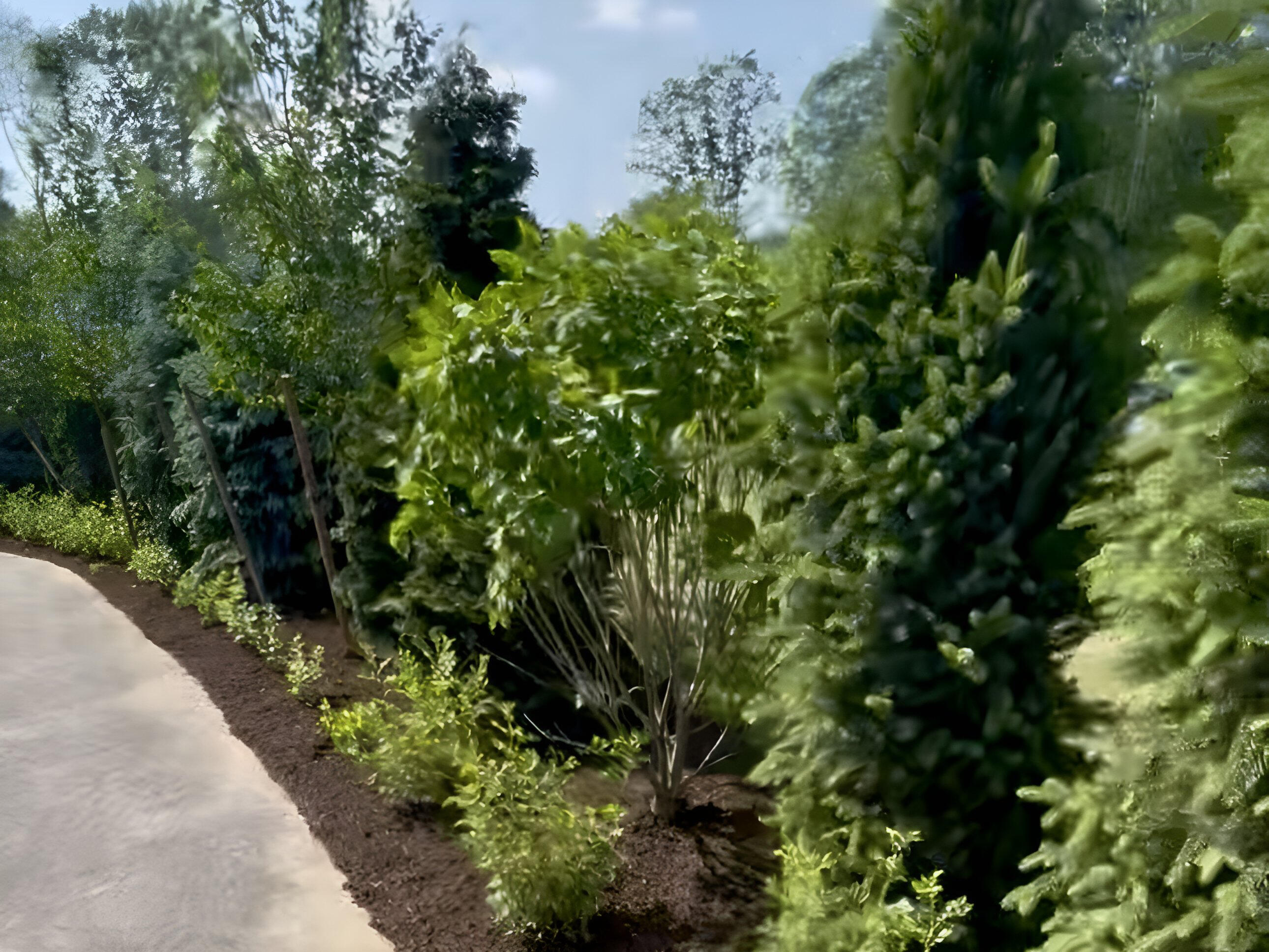 1 Vanessa Way Saco, ME 04072 - Photo 57 of 61 1 Vanessa Lane