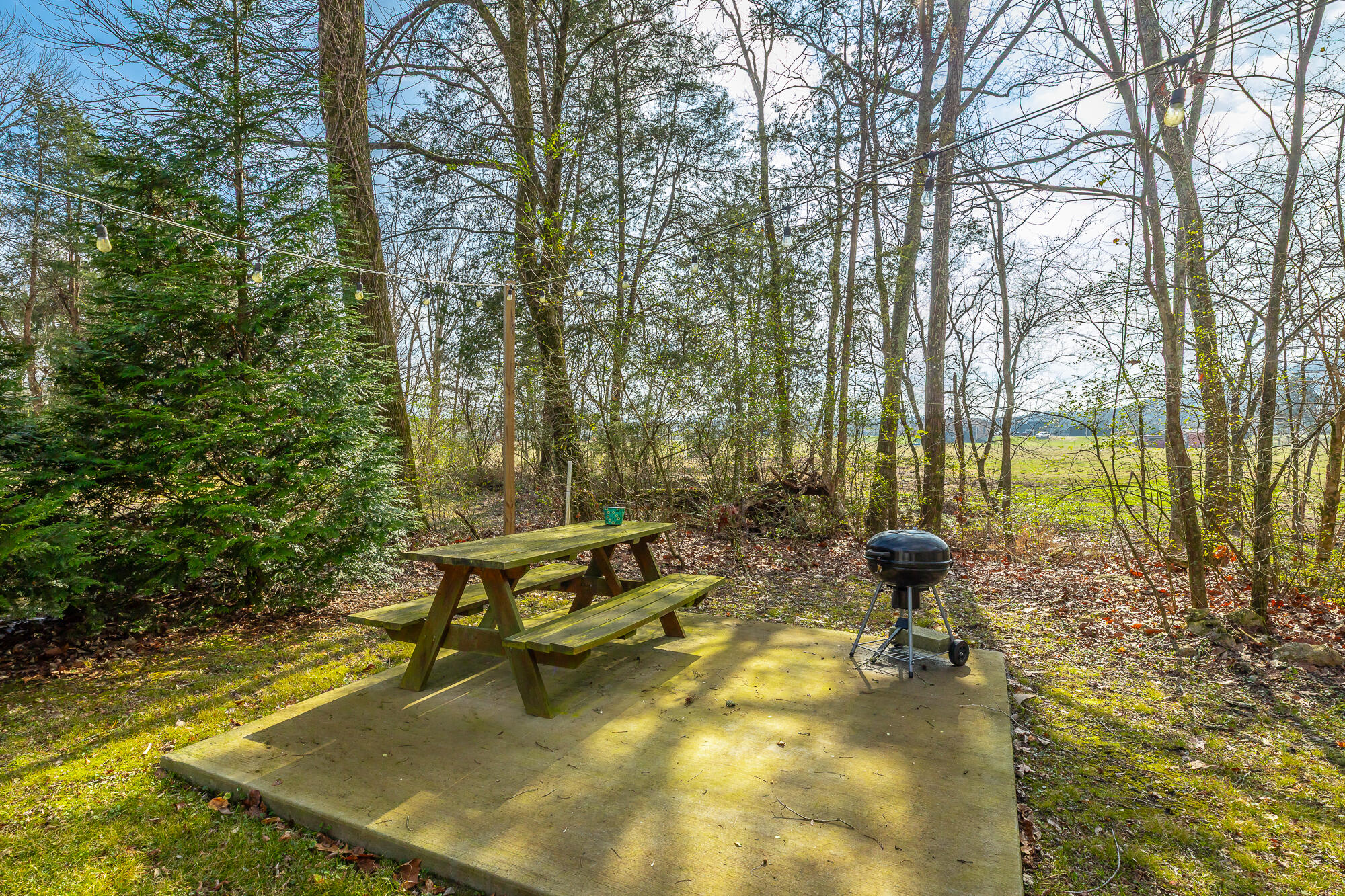 575 Irondale Road South Pittsburg, TN 37380 - Photo 47 of 53 575 Irondale Road HD-13