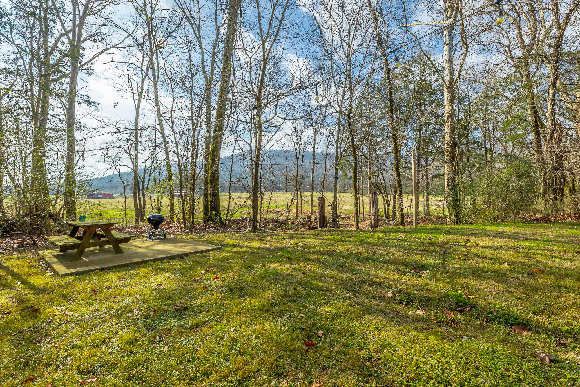 575 Irondale Road South Pittsburg, TN 37380 - Photo 48 of 53 575 Irondale Road HD-12