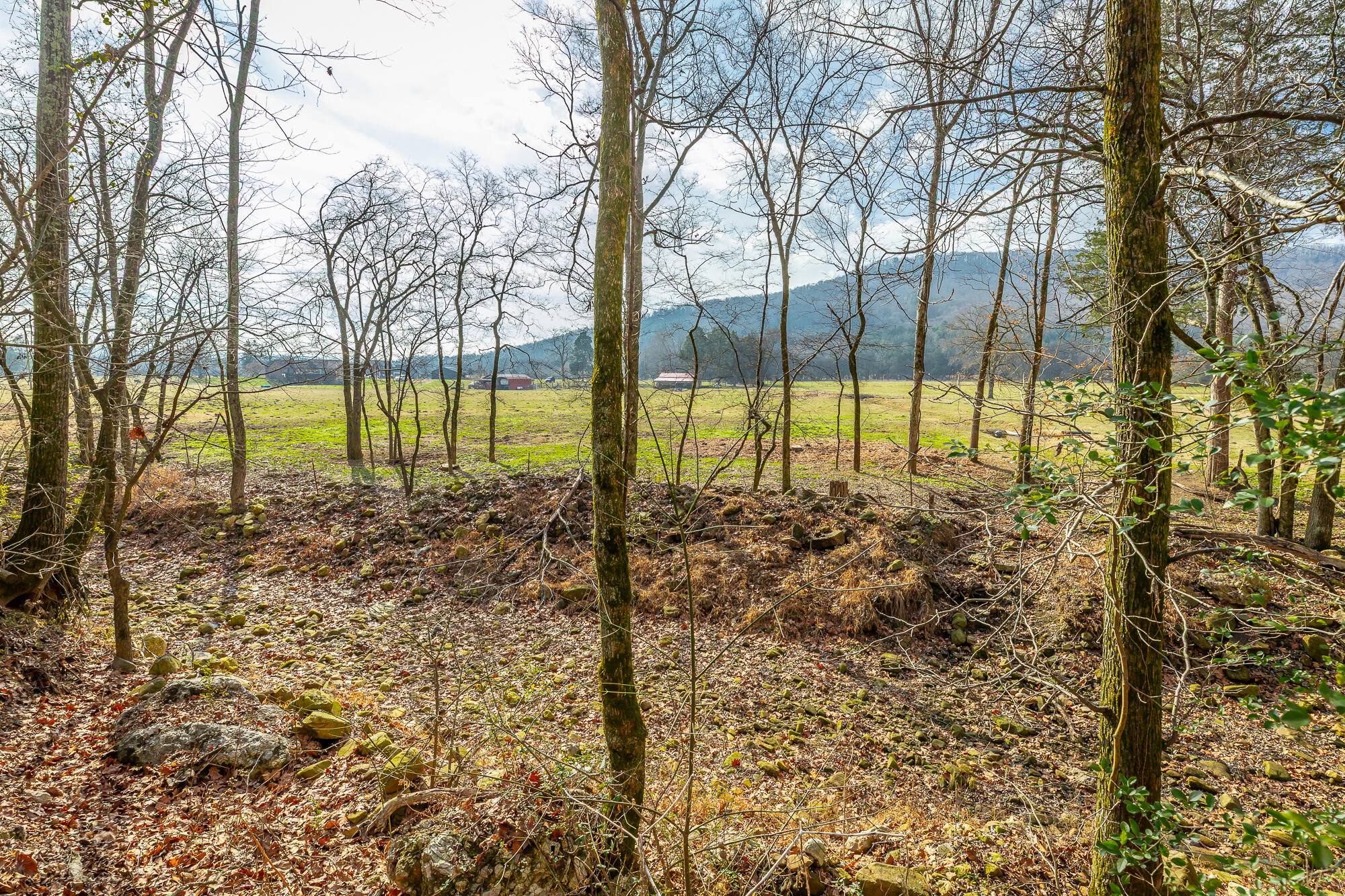 575 Irondale Road South Pittsburg, TN 37380 - Photo 50 of 53 575 Irondale Road HD-20