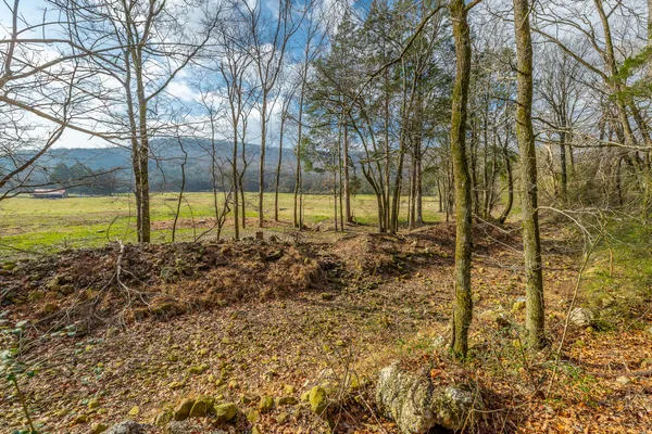 $285,000 | 575 Irondale Road, South Pittsburg, TN 37380