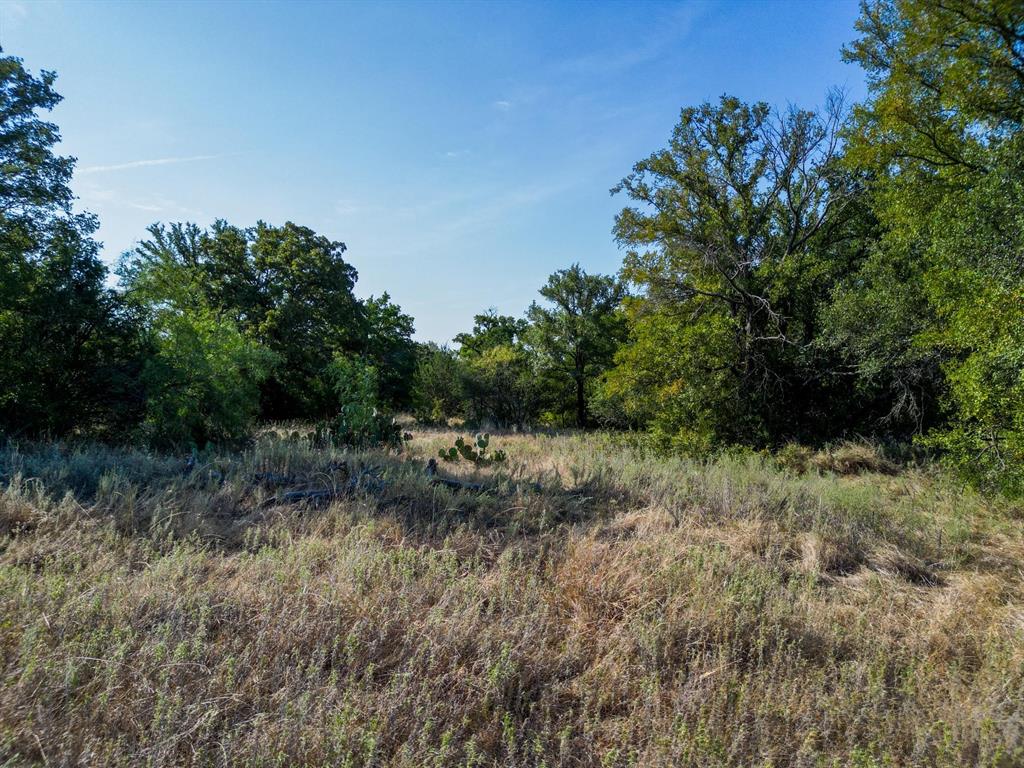 Tbd Ridgeview Court Mingus, TX 76463 - Photo 23 of 27 Gallery Image 23