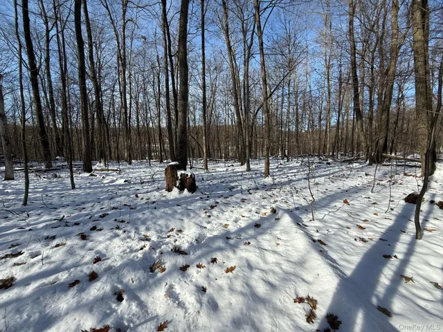 $240,000 | 124 Cooper Road, Millerton, NY 12546