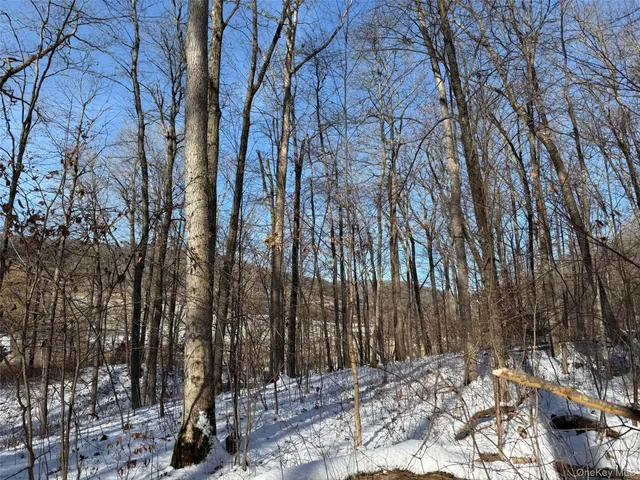 $240,000 | 124 Cooper Road, Millerton, NY 12546