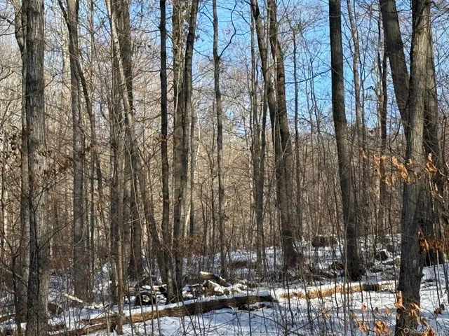 $240,000 | 124 Cooper Road, Millerton, NY 12546