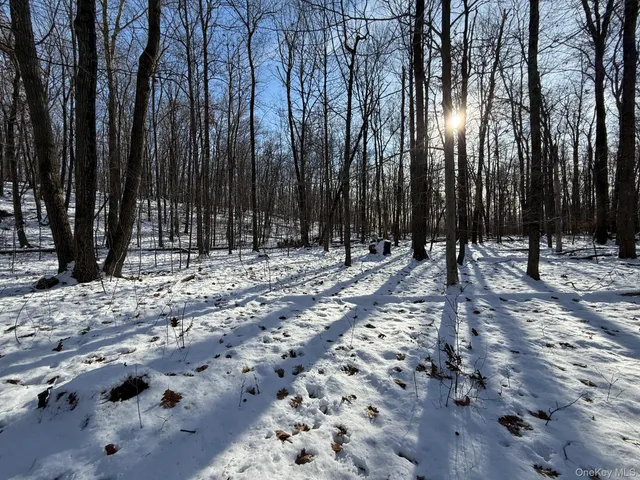 $240,000 | 124 Cooper Road, Millerton, NY 12546