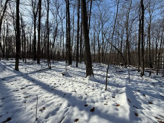 $240,000 | 124 Cooper Road, Millerton, NY 12546