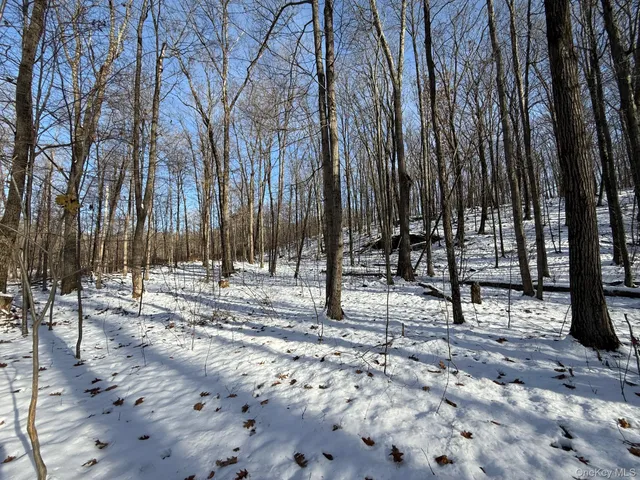 $240,000 | 124 Cooper Road, Millerton, NY 12546