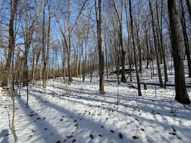 $240,000 | 124 Cooper Road, Millerton, NY 12546