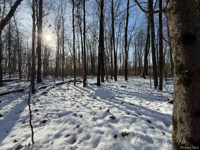 $240,000 | 124 Cooper Road, Millerton, NY 12546