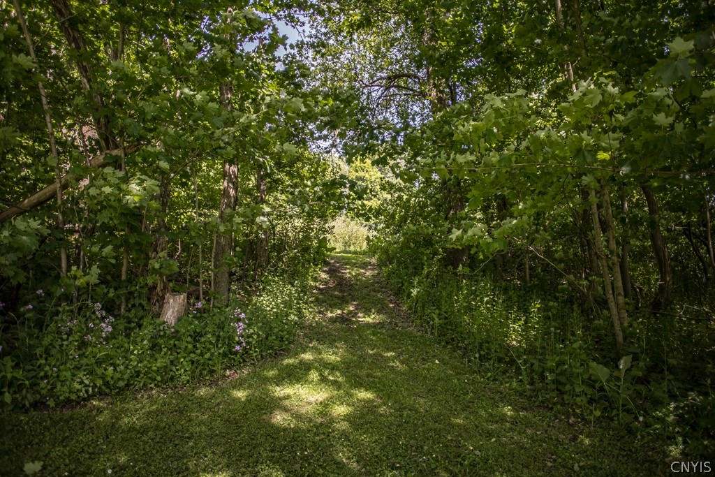 2495 Erieville Road Nelson, NY 13061 - Photo 40 of 50