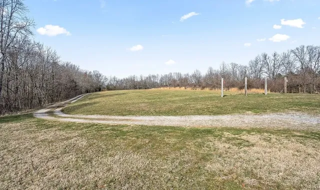 a view of a field with an trees