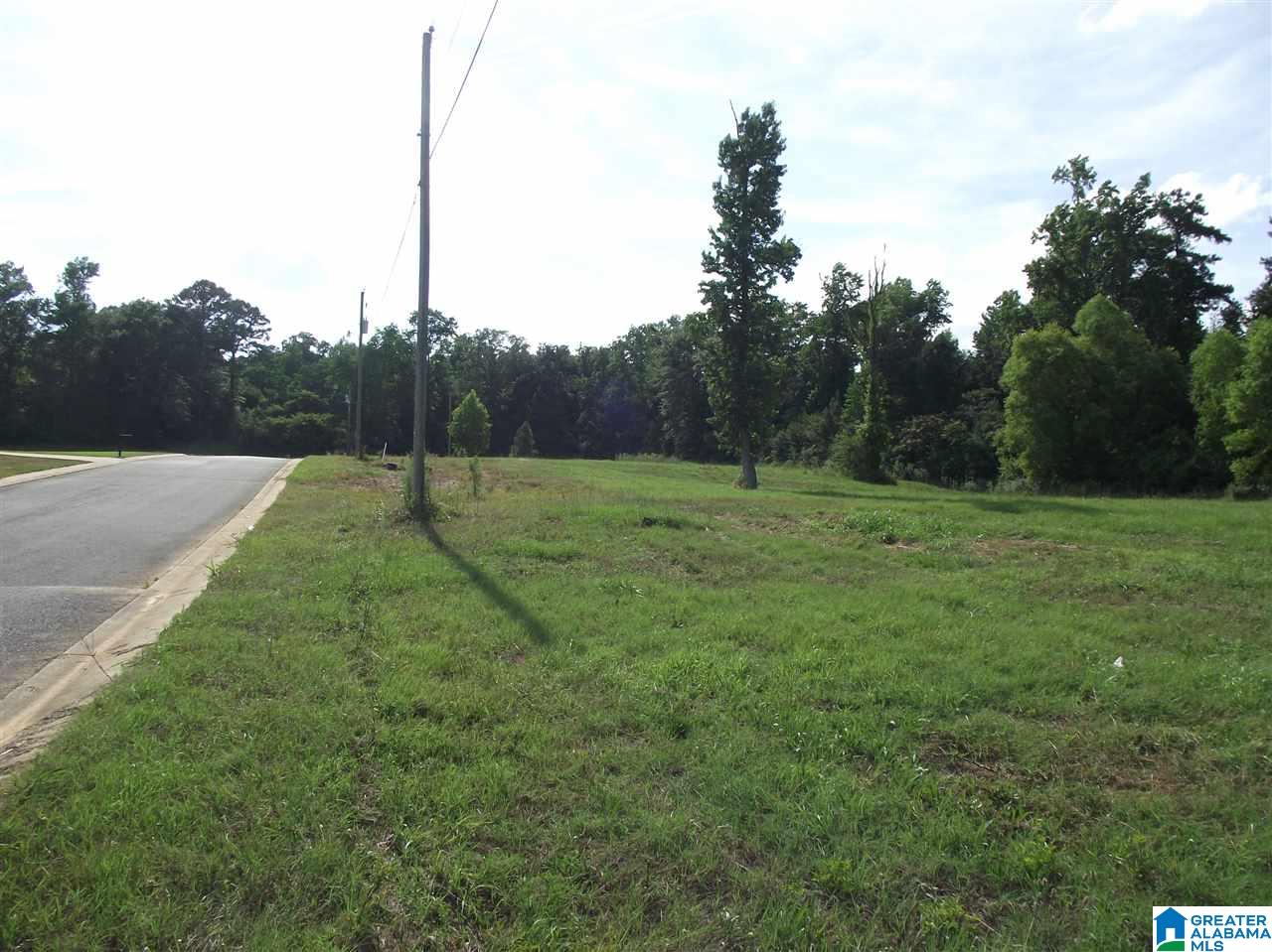0 Logan Farms Road, Unit 1 Vance, AL 35490 - Photo 10 of 18