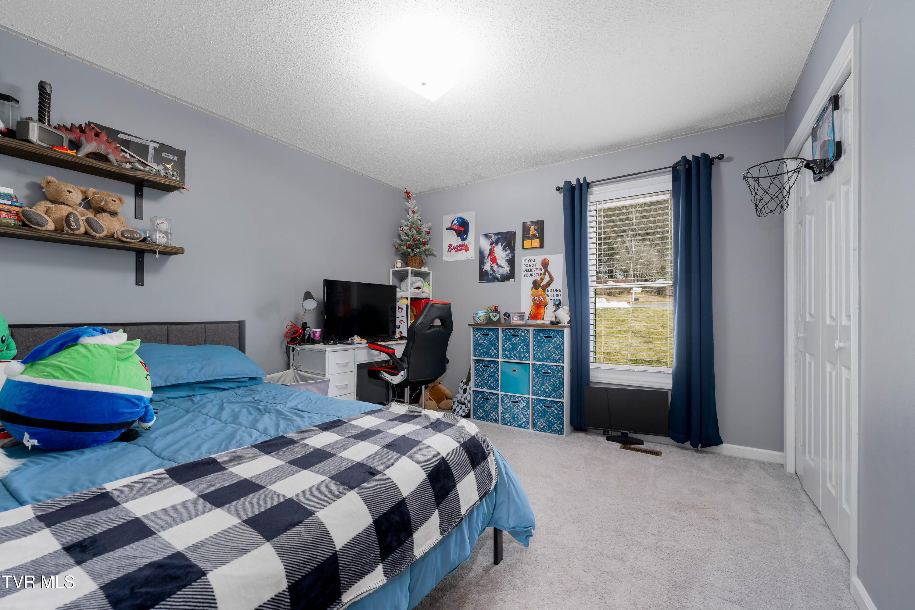 125 Rosebud Lane Gray, TN 37615 - Photo 24 of 66 125 Rosebud Ln (59 of 75)