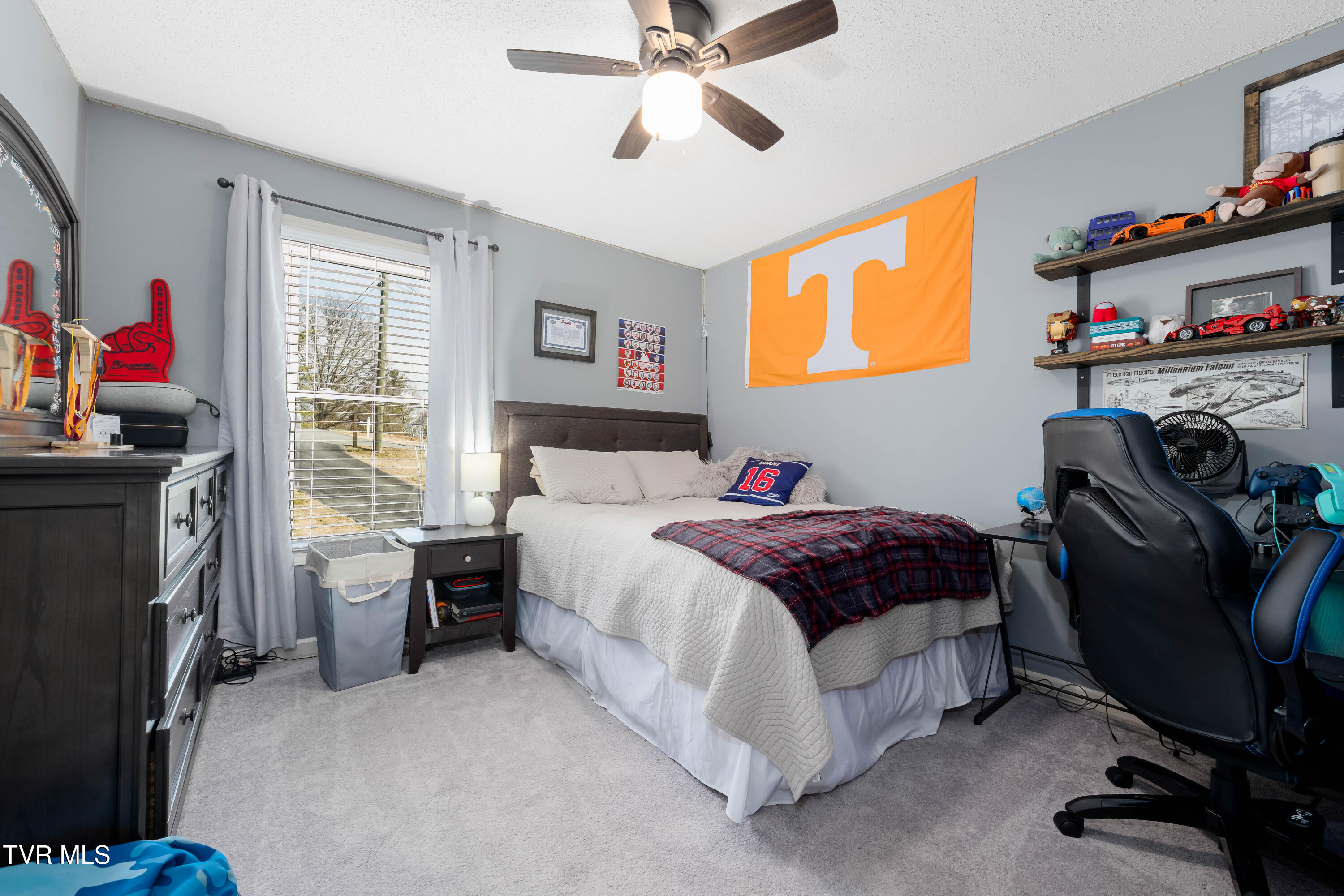 125 Rosebud Lane Gray, TN 37615 - Photo 26 of 66 125 Rosebud Ln (61 of 75)