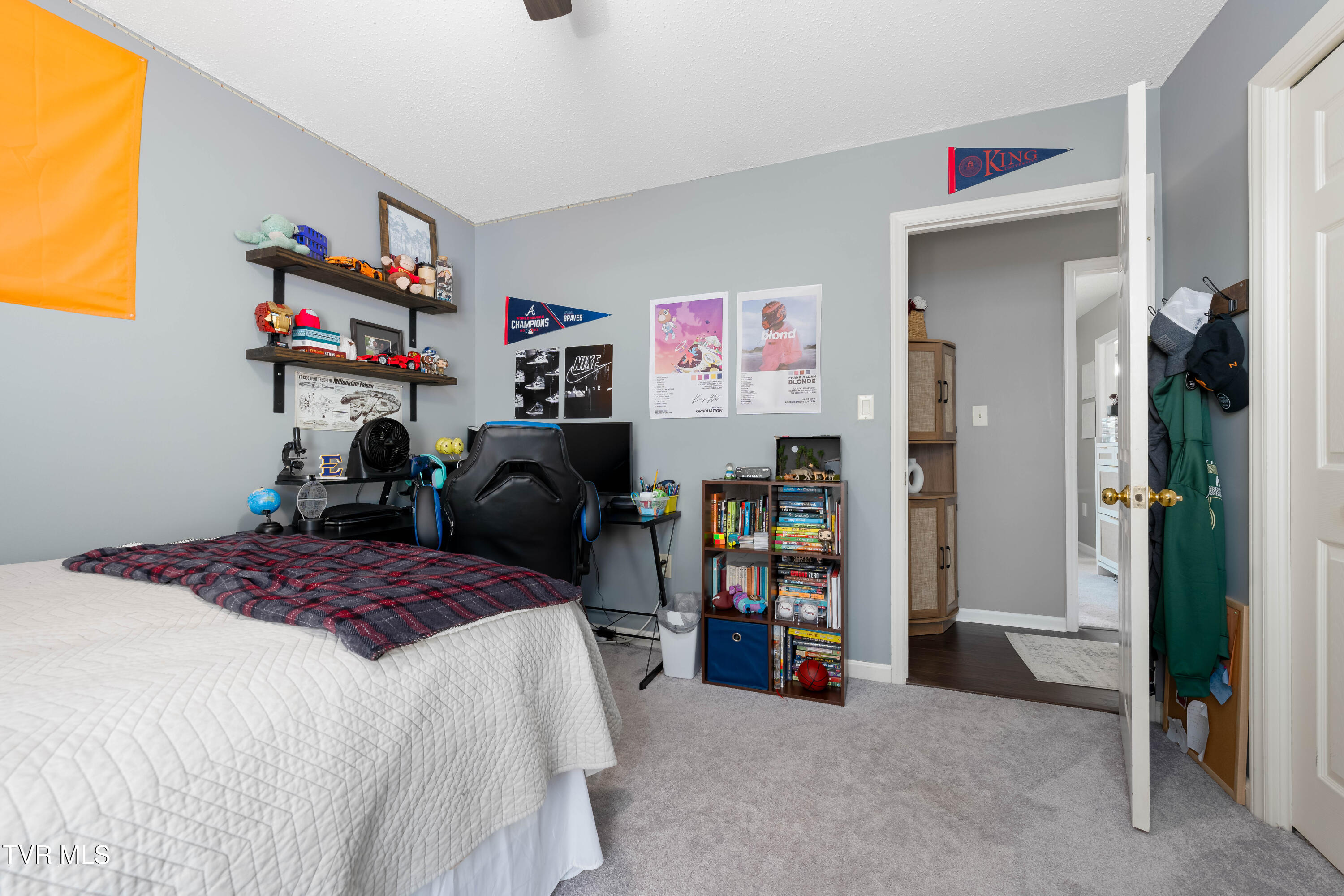 125 Rosebud Lane Gray, TN 37615 - Photo 27 of 66 125 Rosebud Ln (62 of 75)