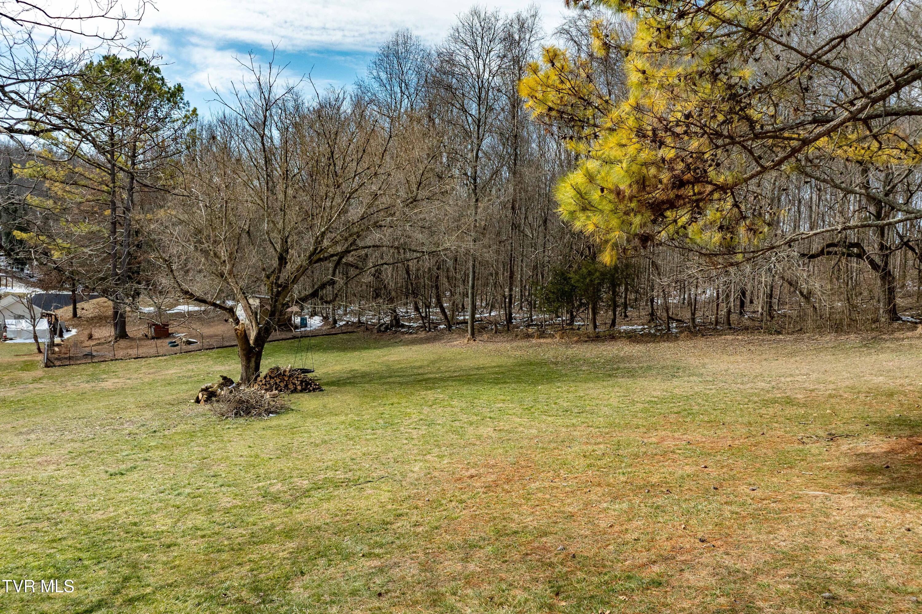 125 Rosebud Lane Gray, TN 37615 - Photo 45 of 66 125 Rosebud Ln (24 of 75)