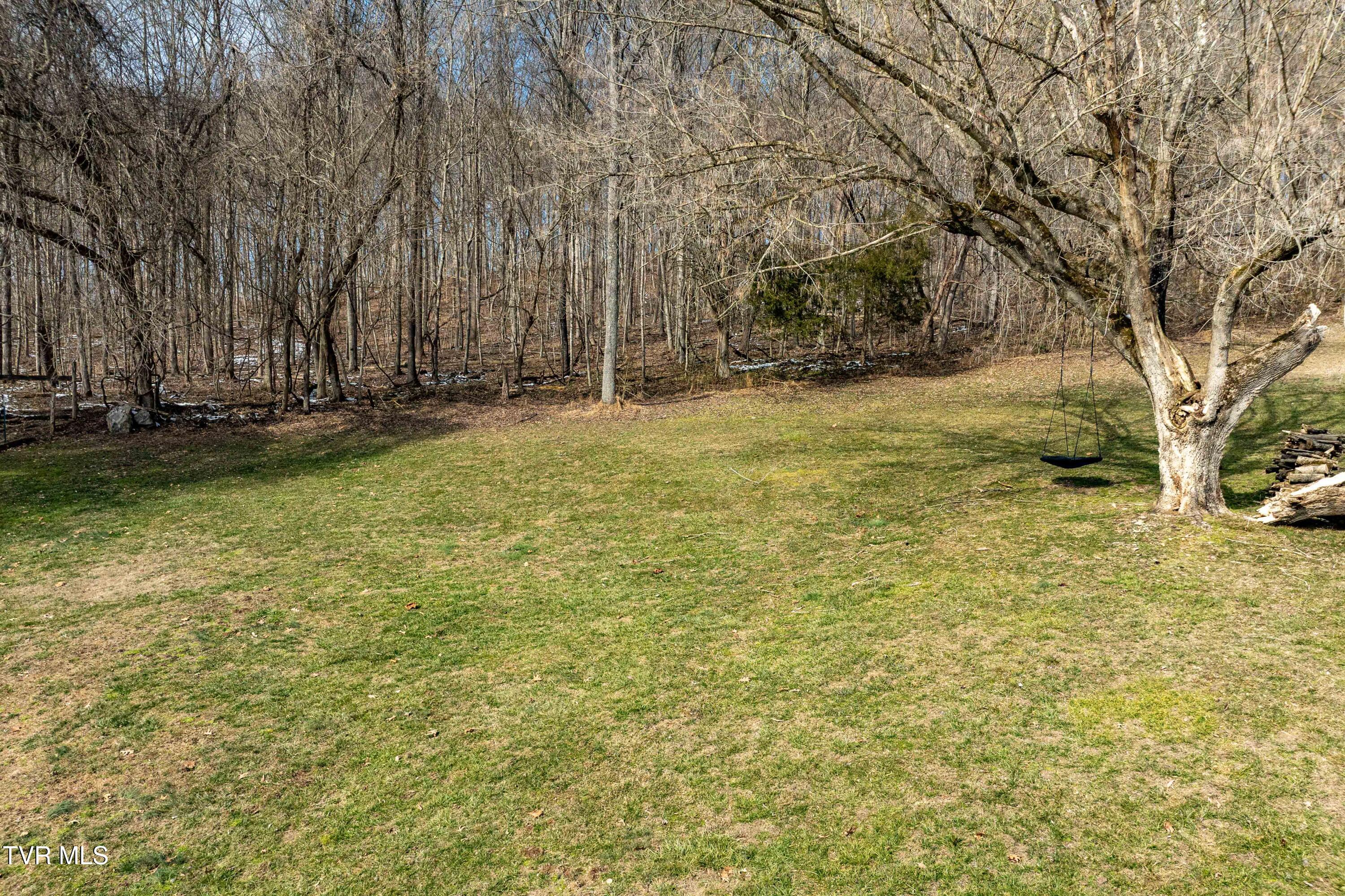 125 Rosebud Lane Gray, TN 37615 - Photo 56 of 66 125 Rosebud Ln (22 of 75)