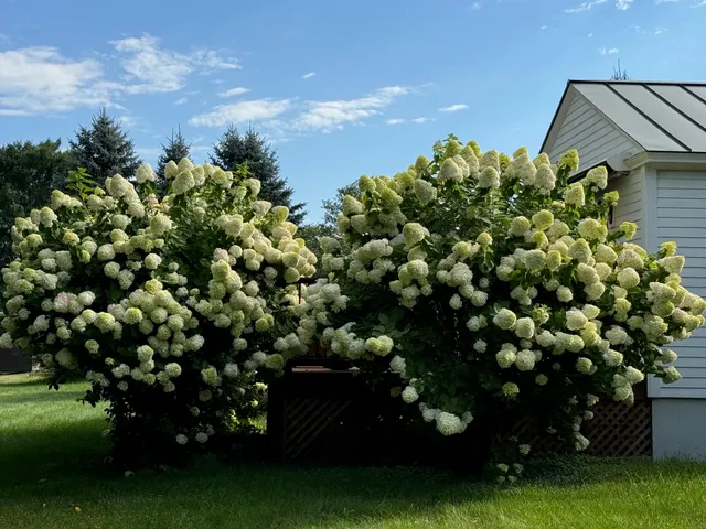 $479,000 | 155 Upper Plain, Bradford, VT 05033