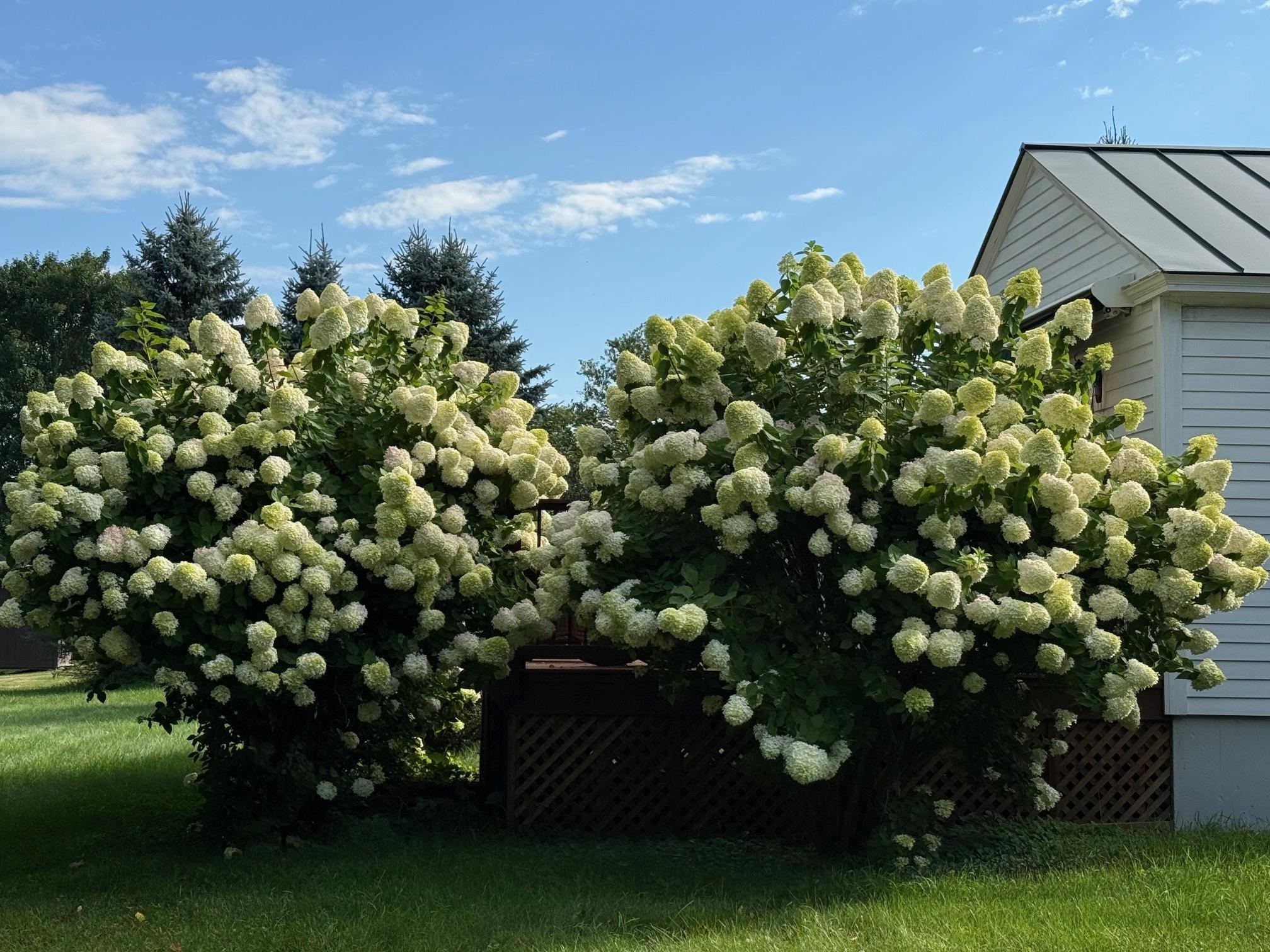 155 Upper Plain Bradford, VT 05033 - Photo 9 of 44