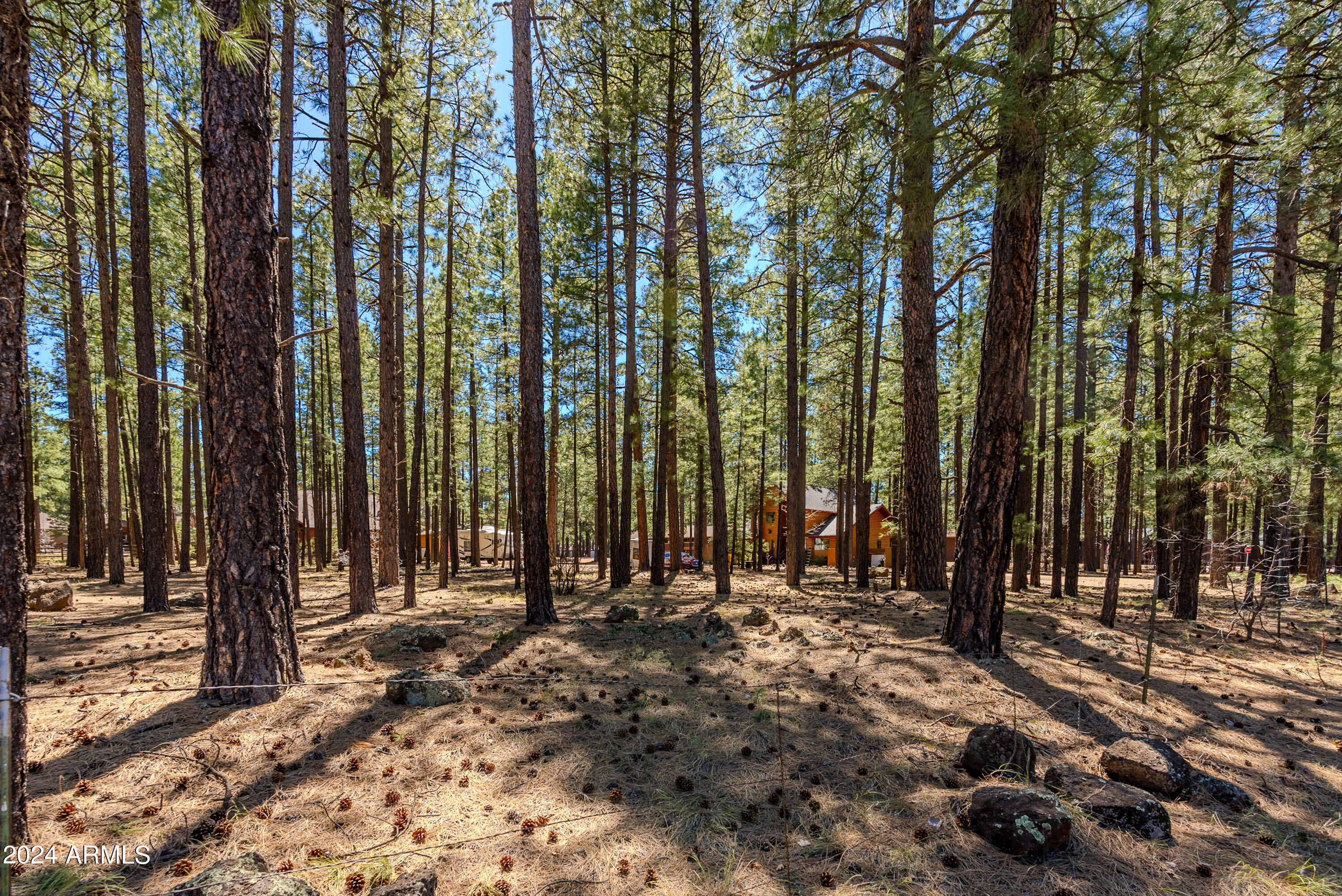 4583 Sky Hi Road Pinetop, AZ 85935 - Photo 19 of 30 4583 Sky Hi-19