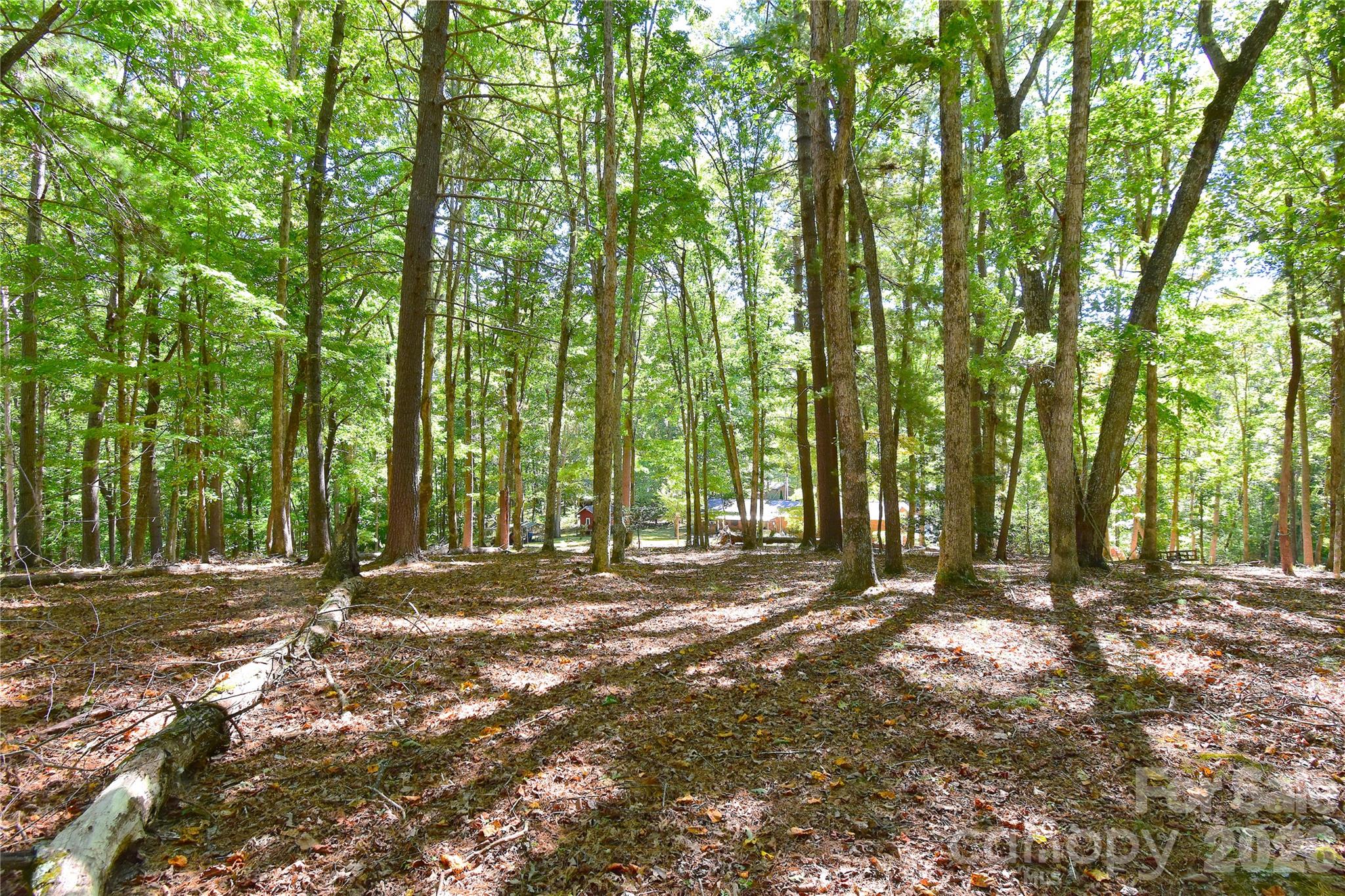 39 Maynard Road Candler, NC 28715 - Photo 37 of 43 Gallery Image 37