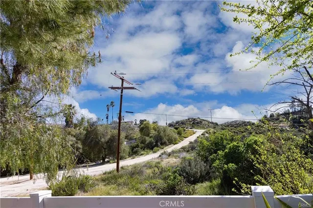a view of a city with flower plants