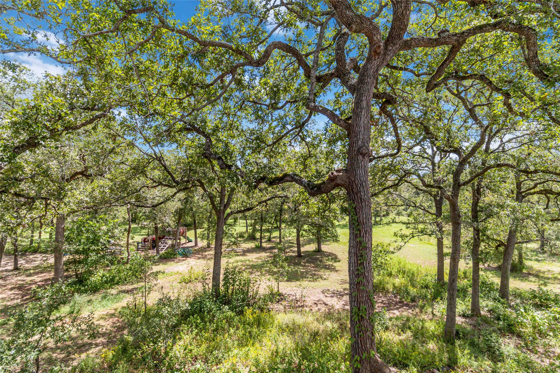 180 Ironstone Road Smithville, TX 78957 - Photo 37 of 37 a backyard of a house with lots of trees