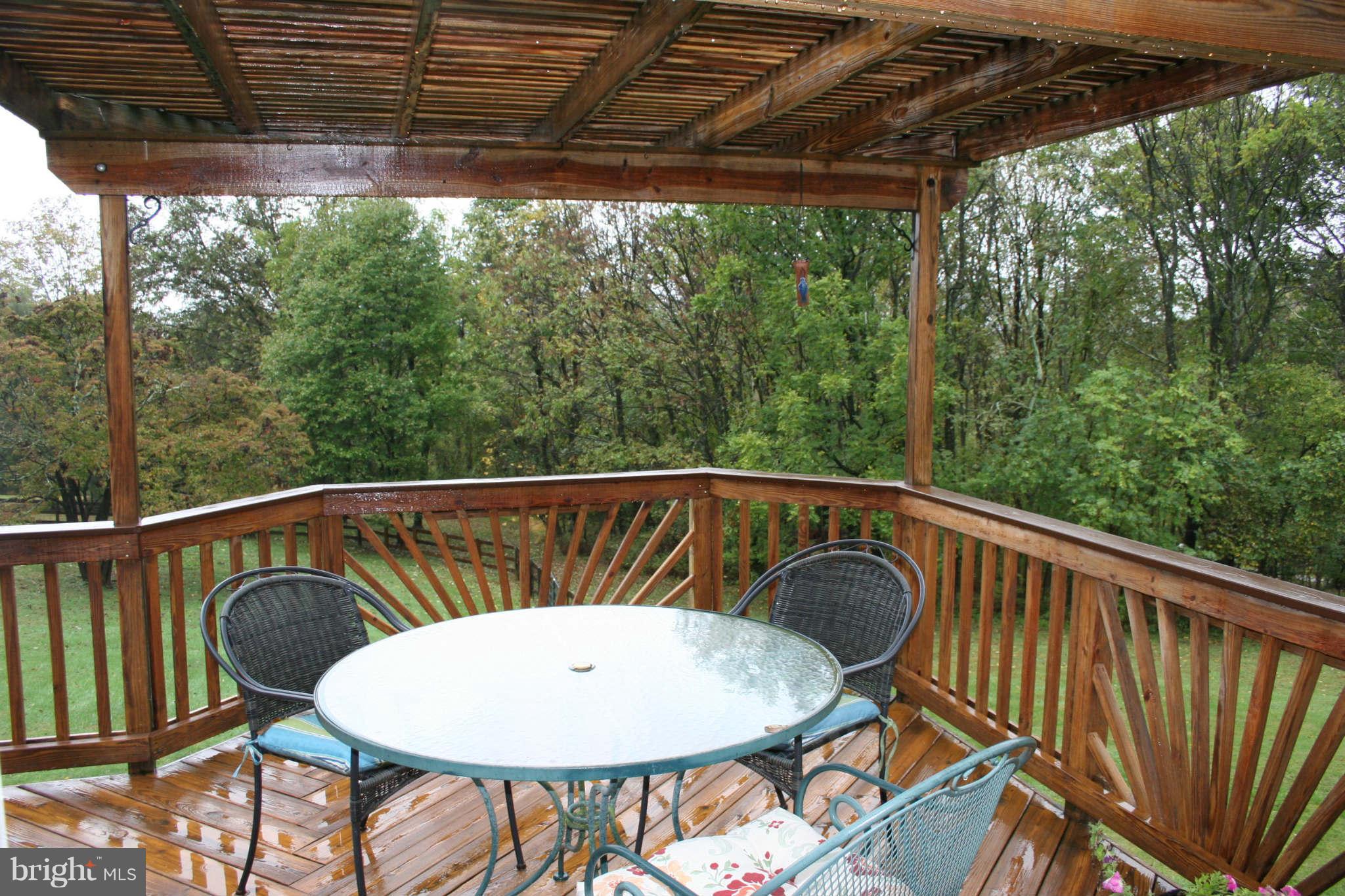 6377 Old Bust Head Road Warrenton, VA 20187 - Photo 27 of 30 Deck