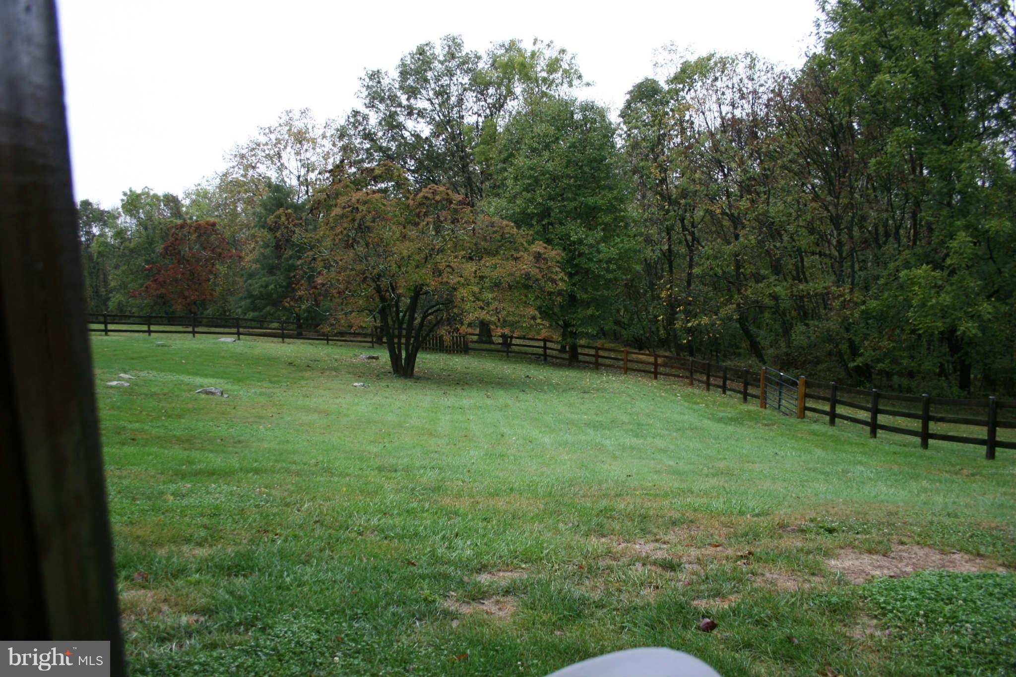 6377 Old Bust Head Road Warrenton, VA 20187 - Photo 28 of 30 Back Yard