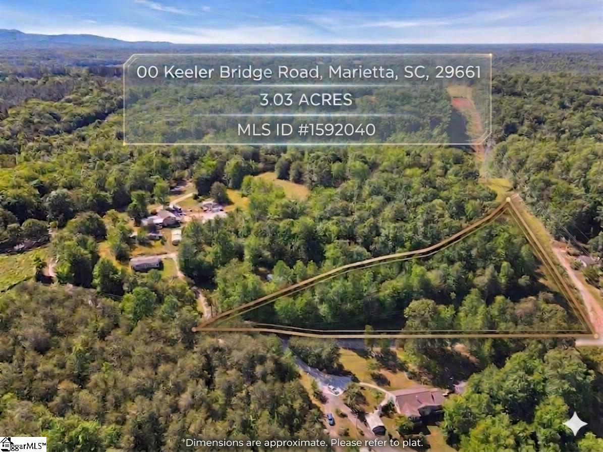 0 Keeler Bridge Road Marietta, SC 29661 - Photo 1 of 12