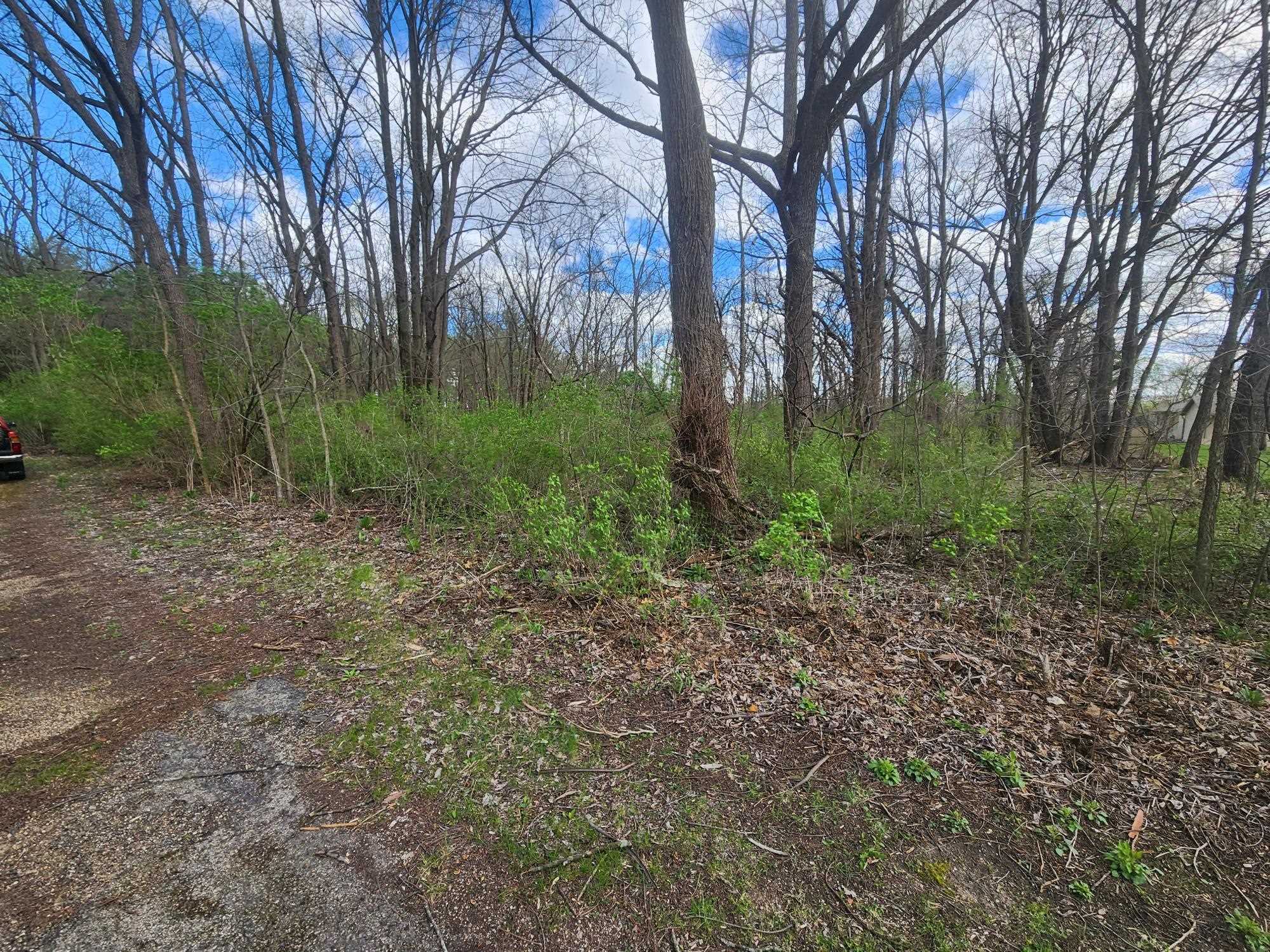 Lot 1 Elizabeth Muscoda, WI 53573 - Photo 4 of 5