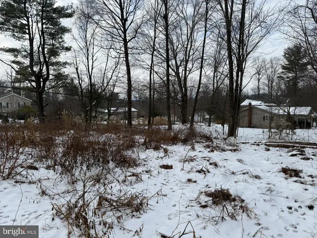 a view of outdoor space with trees